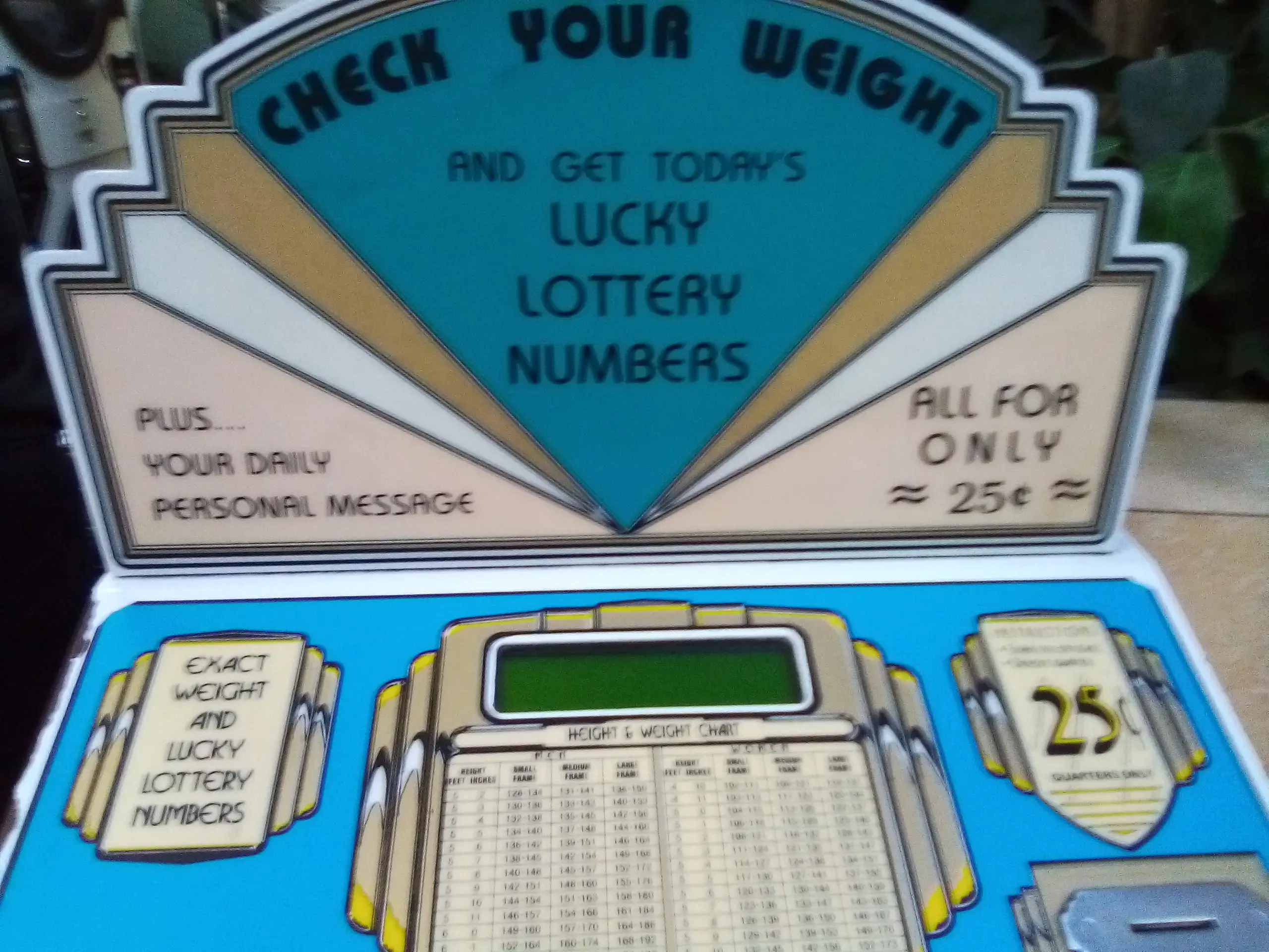 SLO Laundry - Image 20