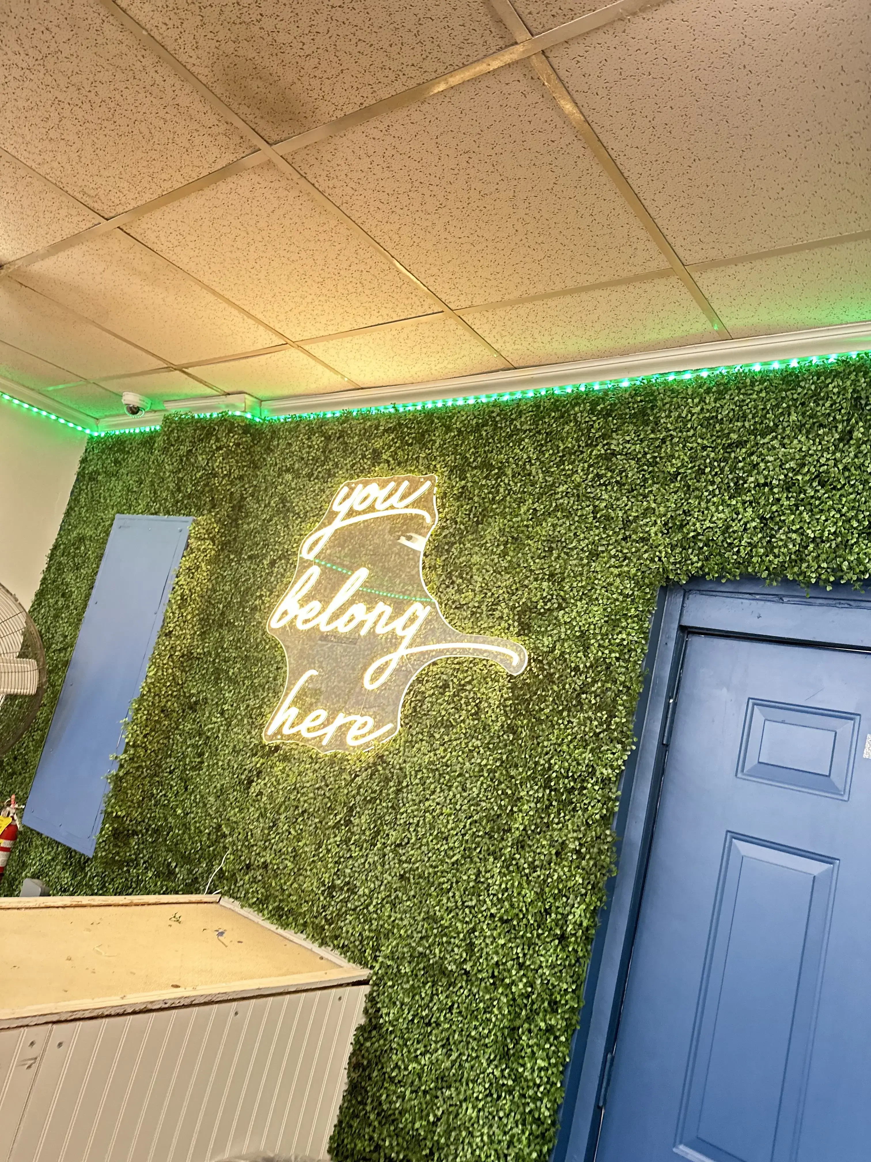 Smart Wash Laundromat - Image 9