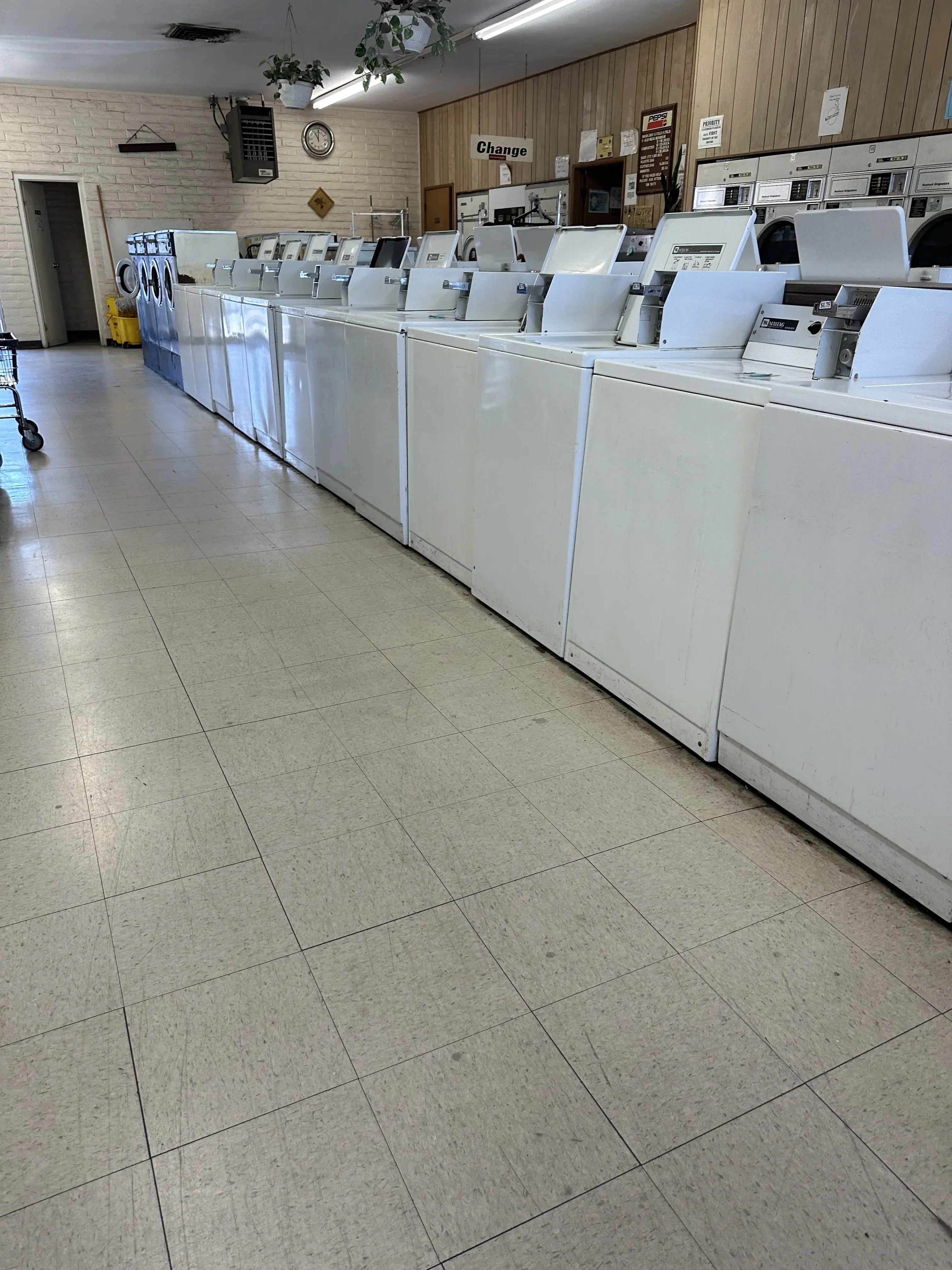 Snow White Launderette thumbnail 3