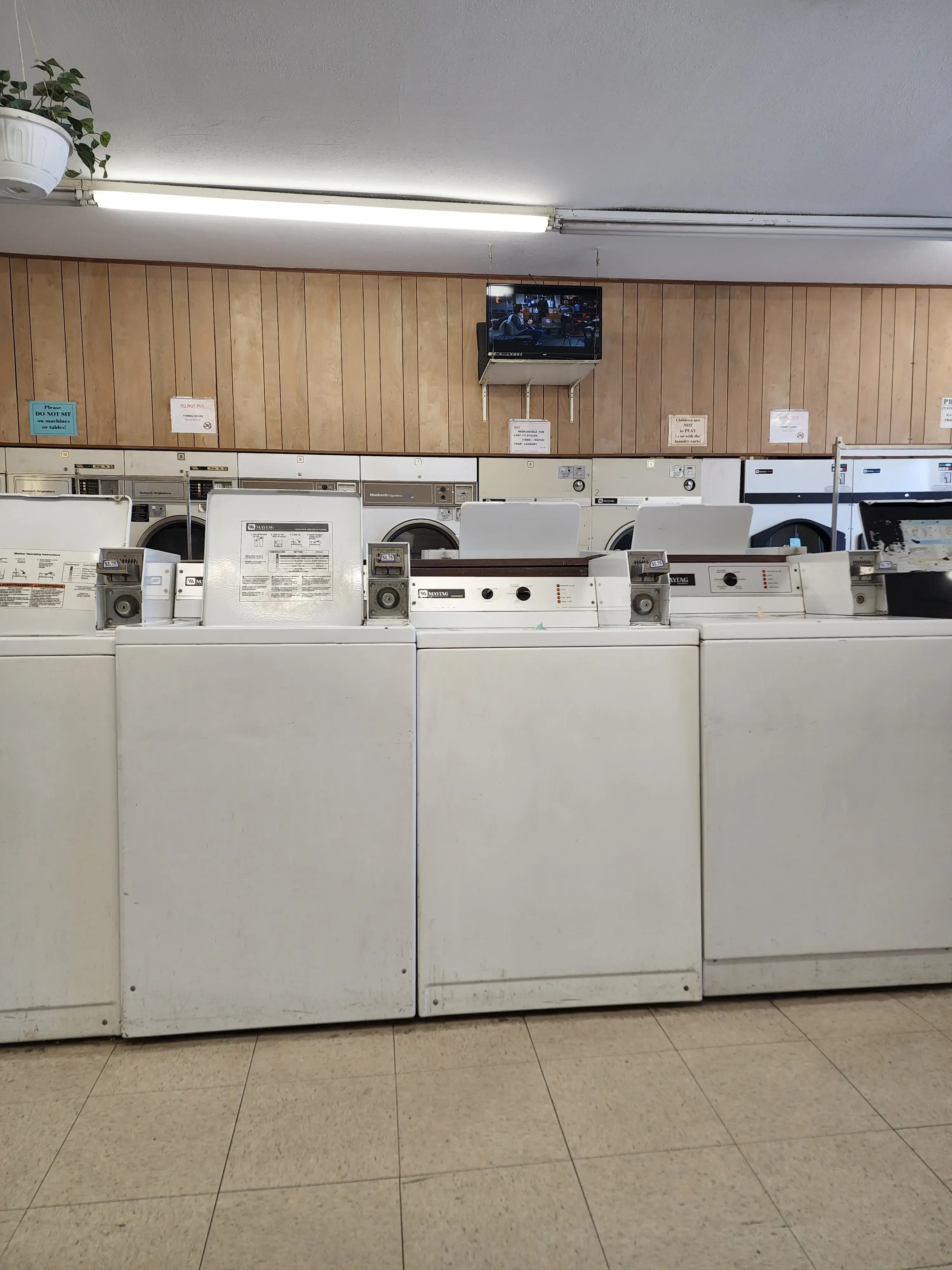 Snow White Launderette thumbnail 5
