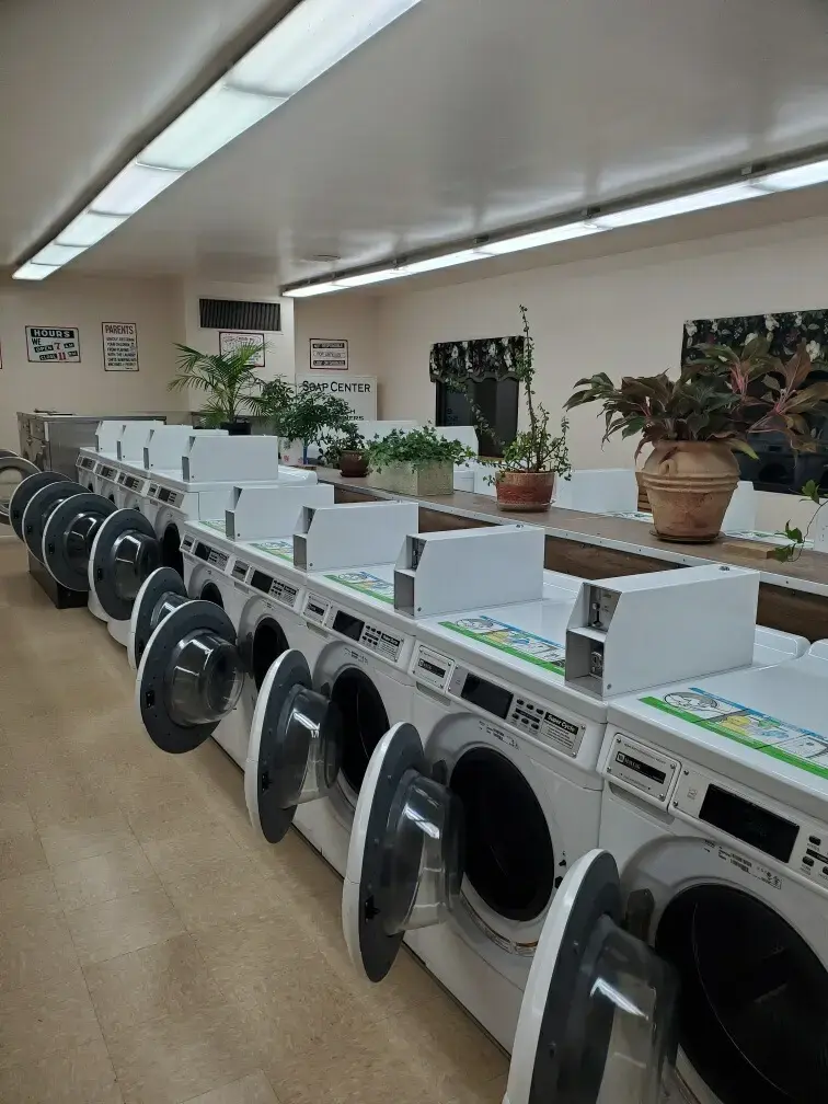 Snow White Laundromat thumbnail 10