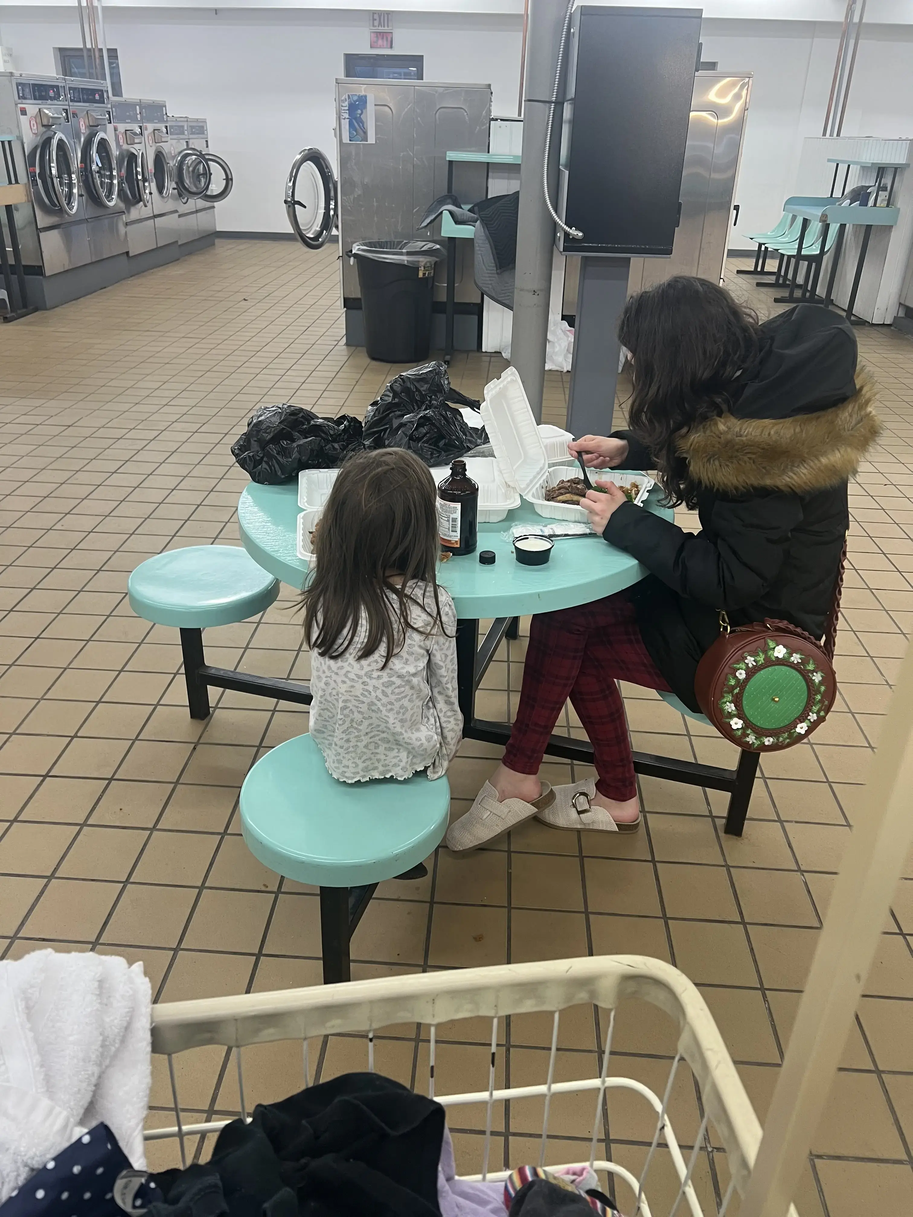 Snowy White Laundromat - Image 6