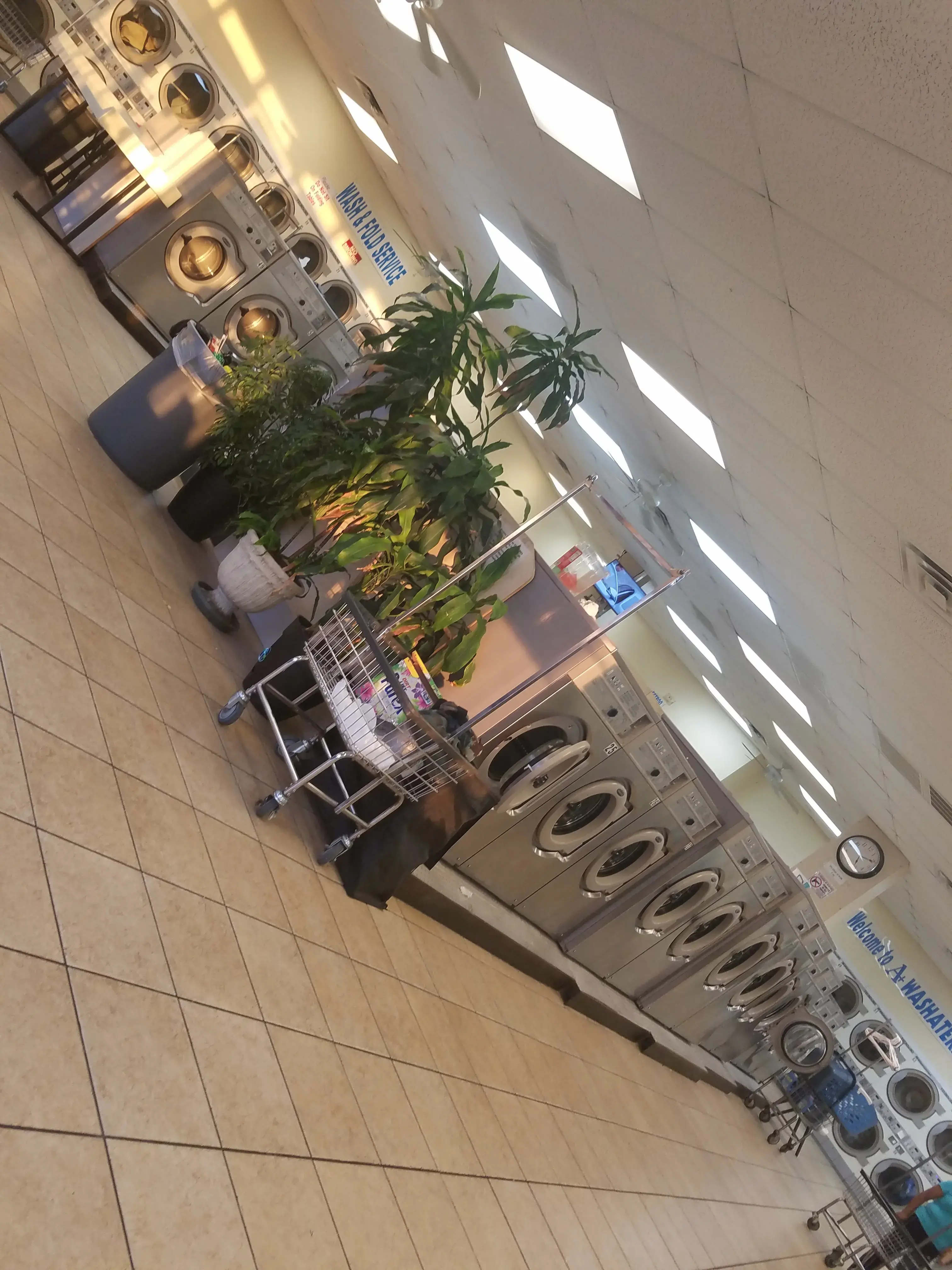 Soak n Spin Washateria - Image 15