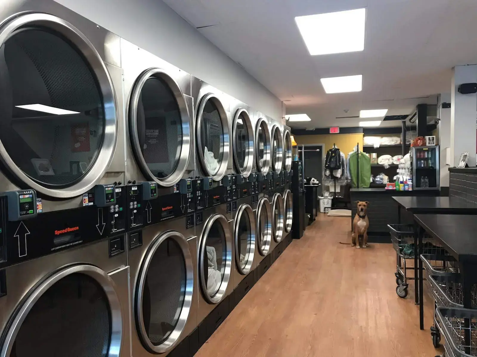 Soap Bubble Laundromat thumbnail 2