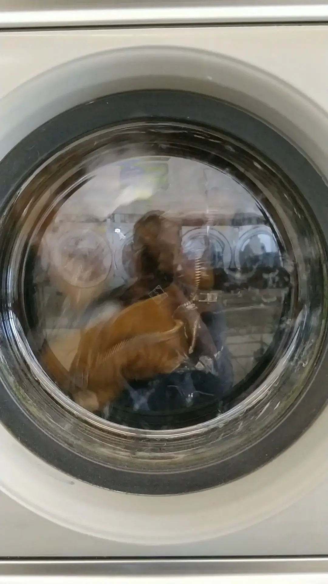 Soap City Laundry thumbnail 12