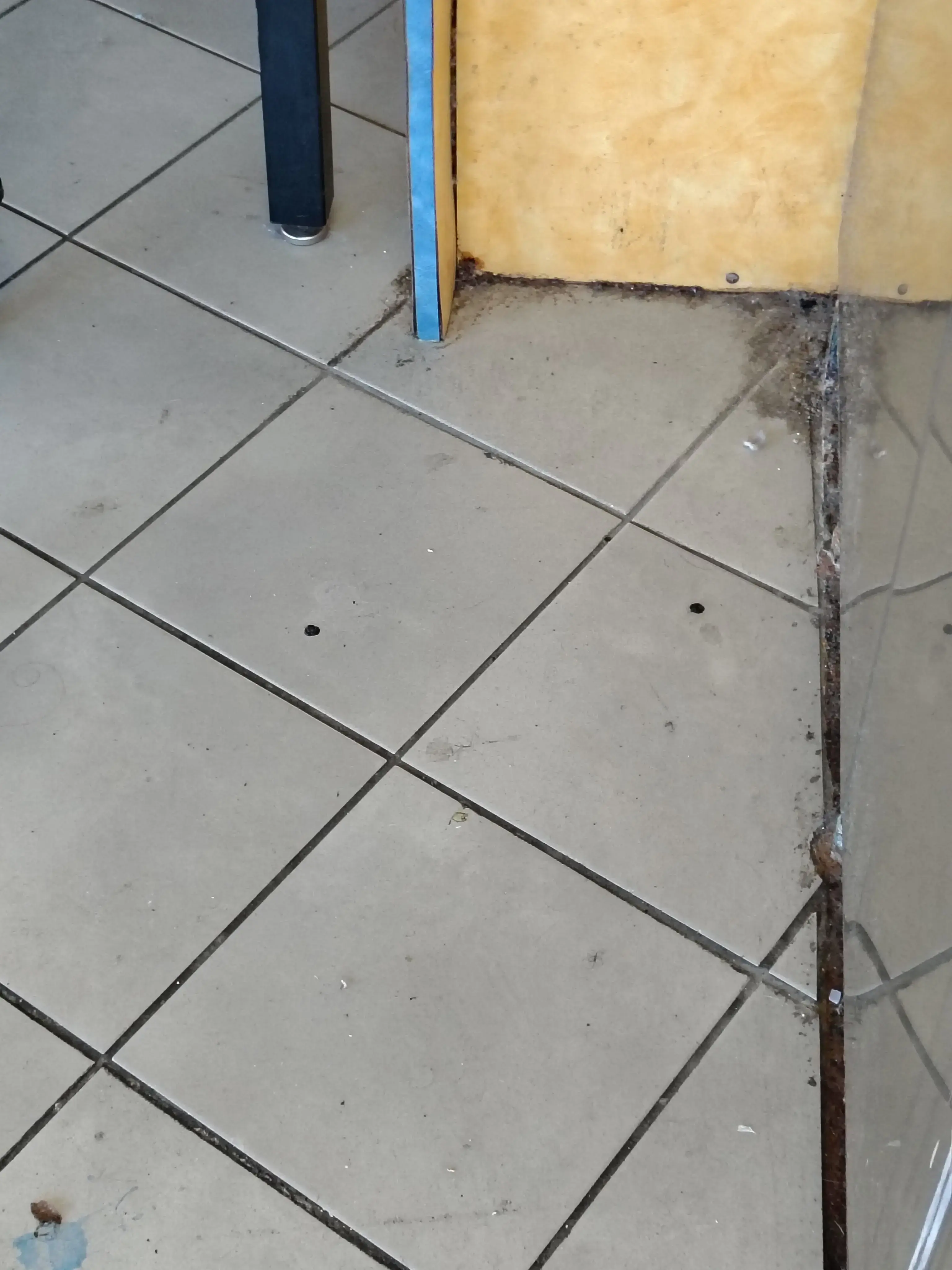Soap Opera Laundromat - Hickory Hills - Image 9
