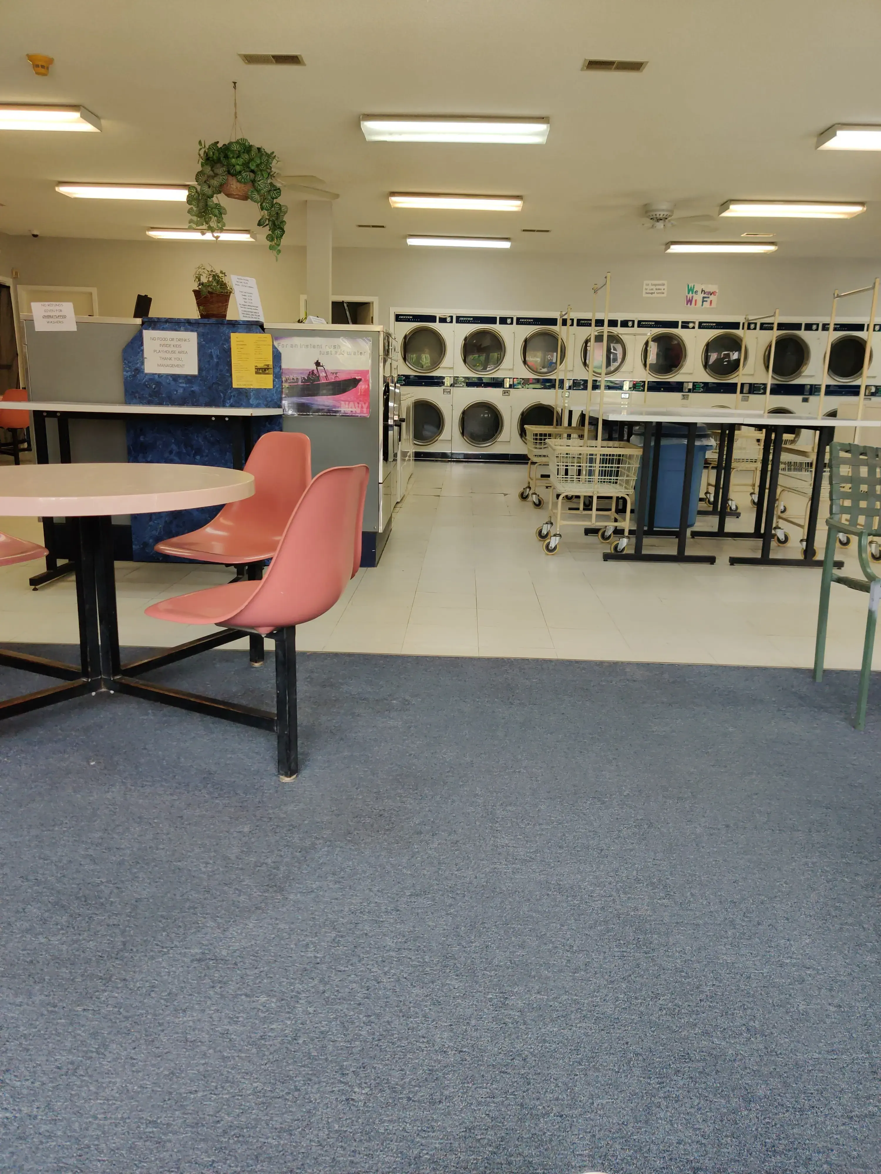 Soap Opera Laundry & Beatrice Sewn Goods - Image 4