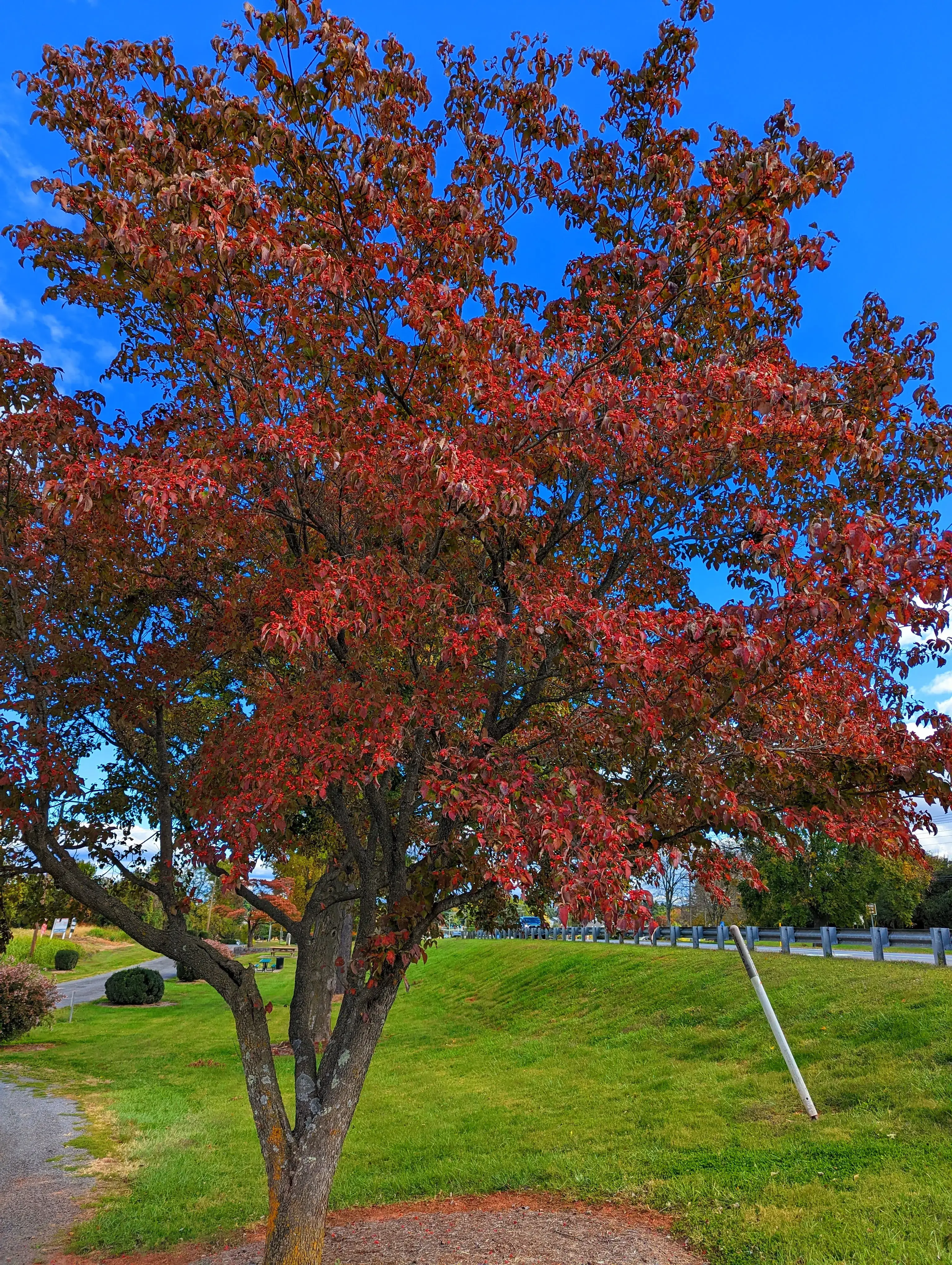 Soap Opera Laundry Services - Image 3