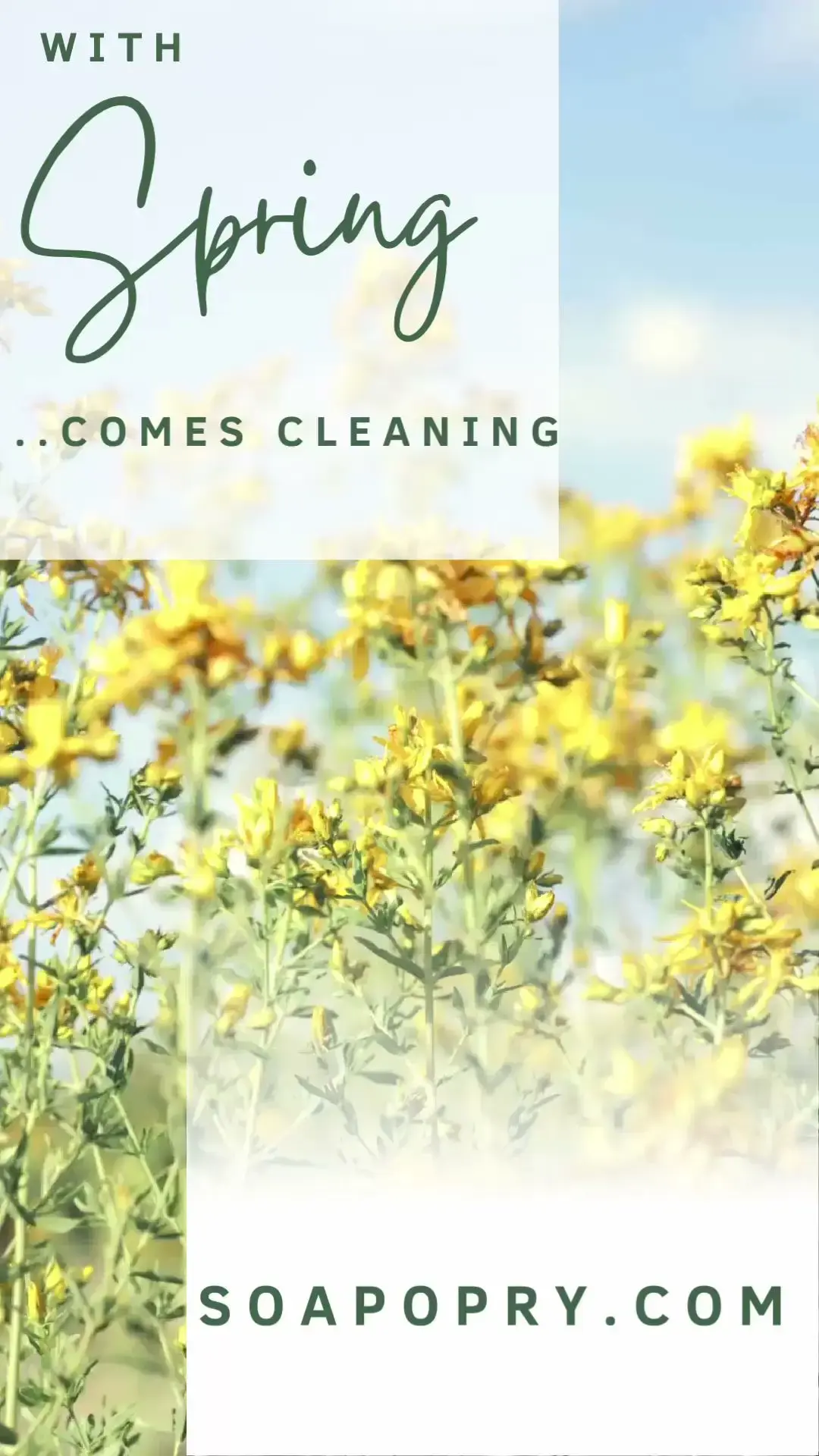 Soap Opry Coin Laundry - Nashville thumbnail 16