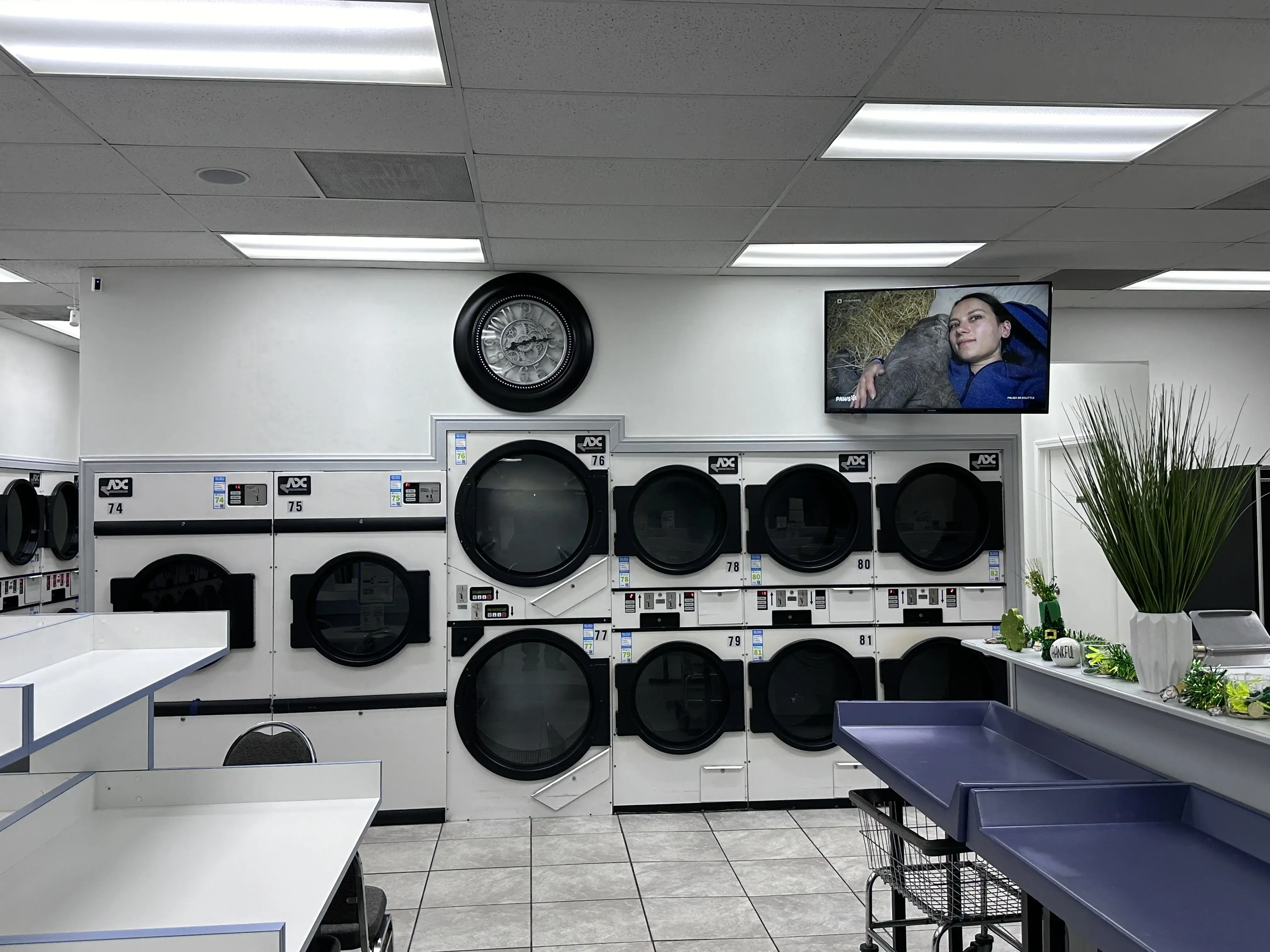 Soap Savvy Laundry thumbnail 4