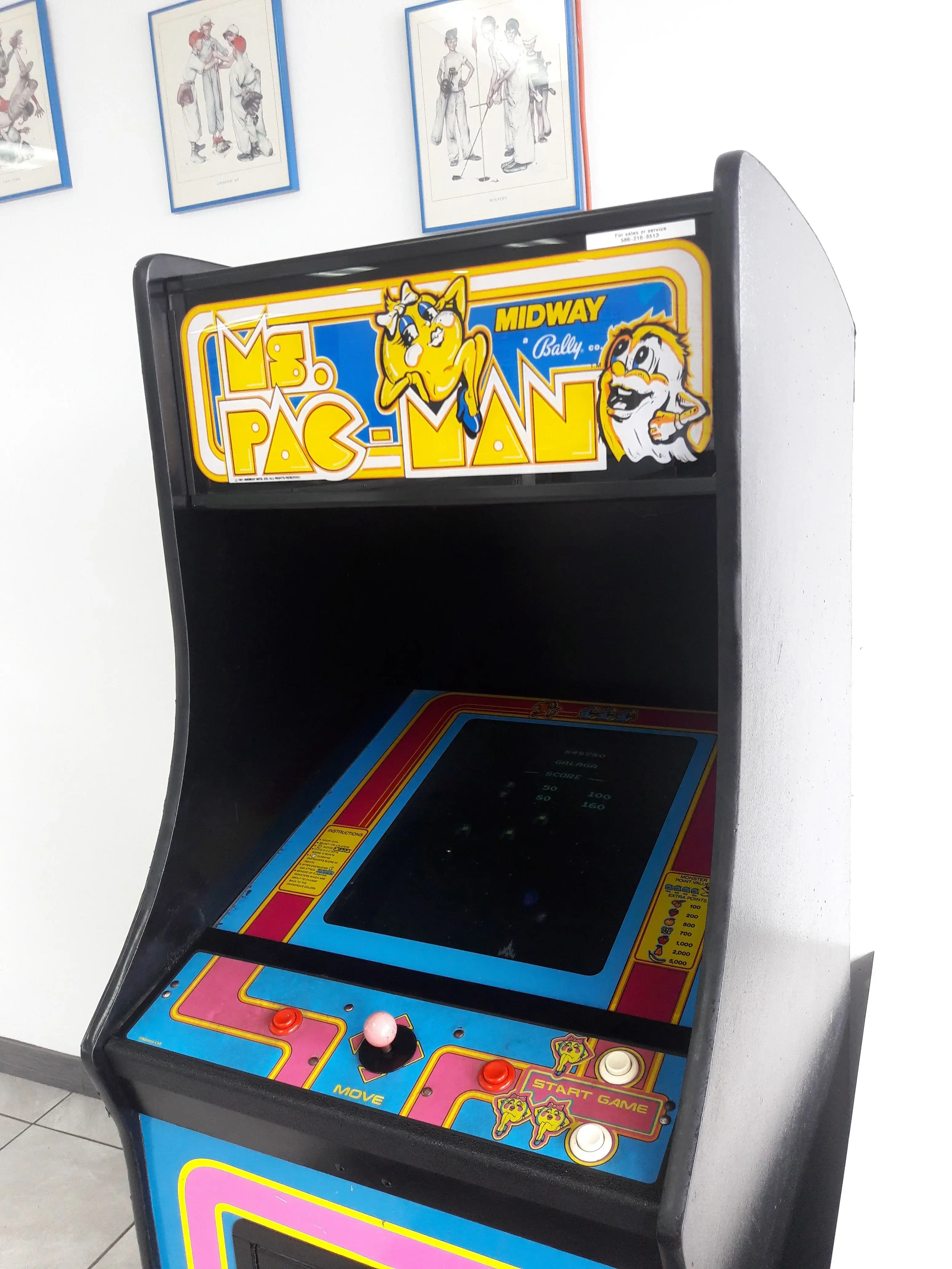 Soap Savvy Laundry thumbnail 10