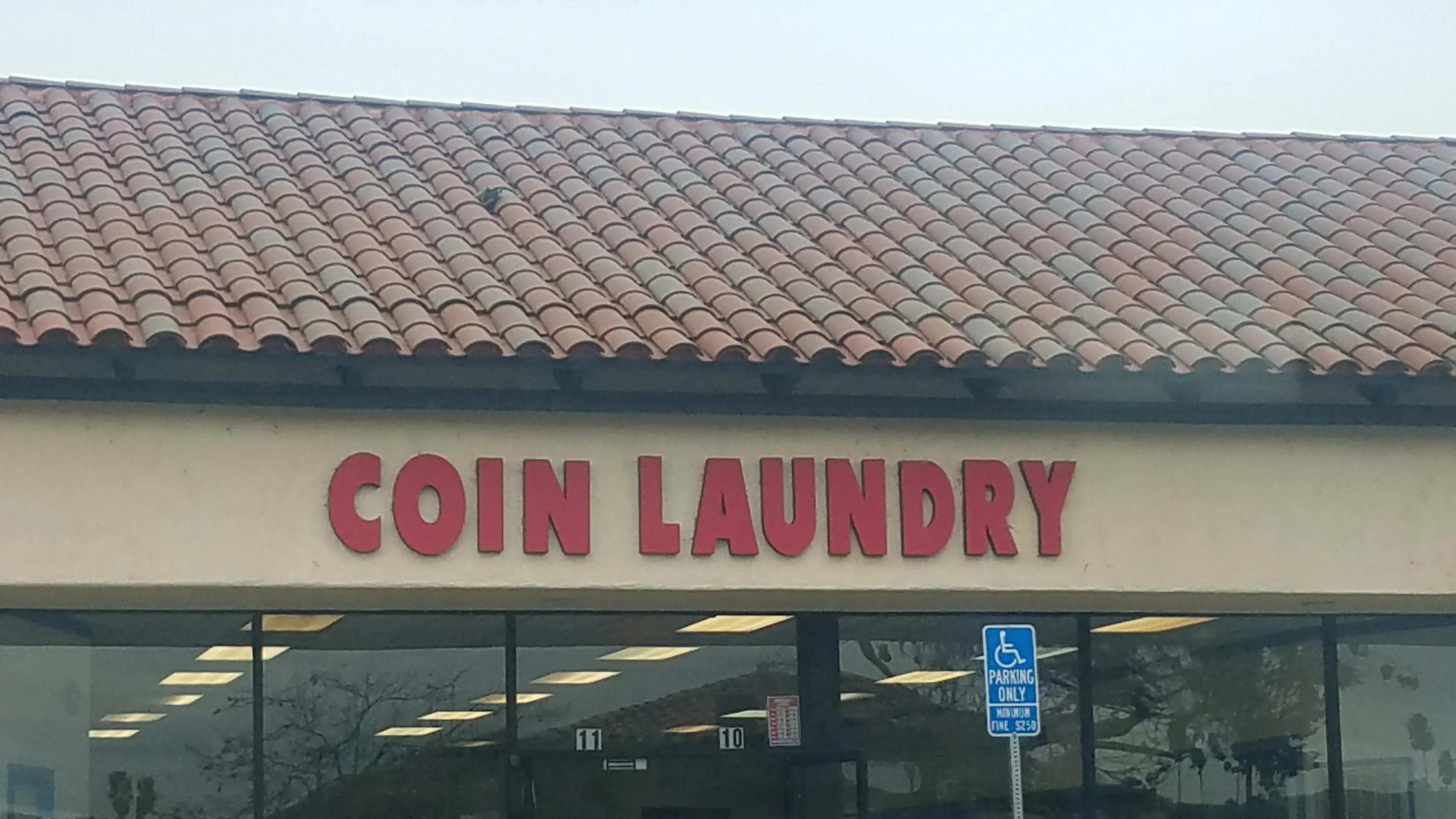 SoapBox Laundry - Image 14