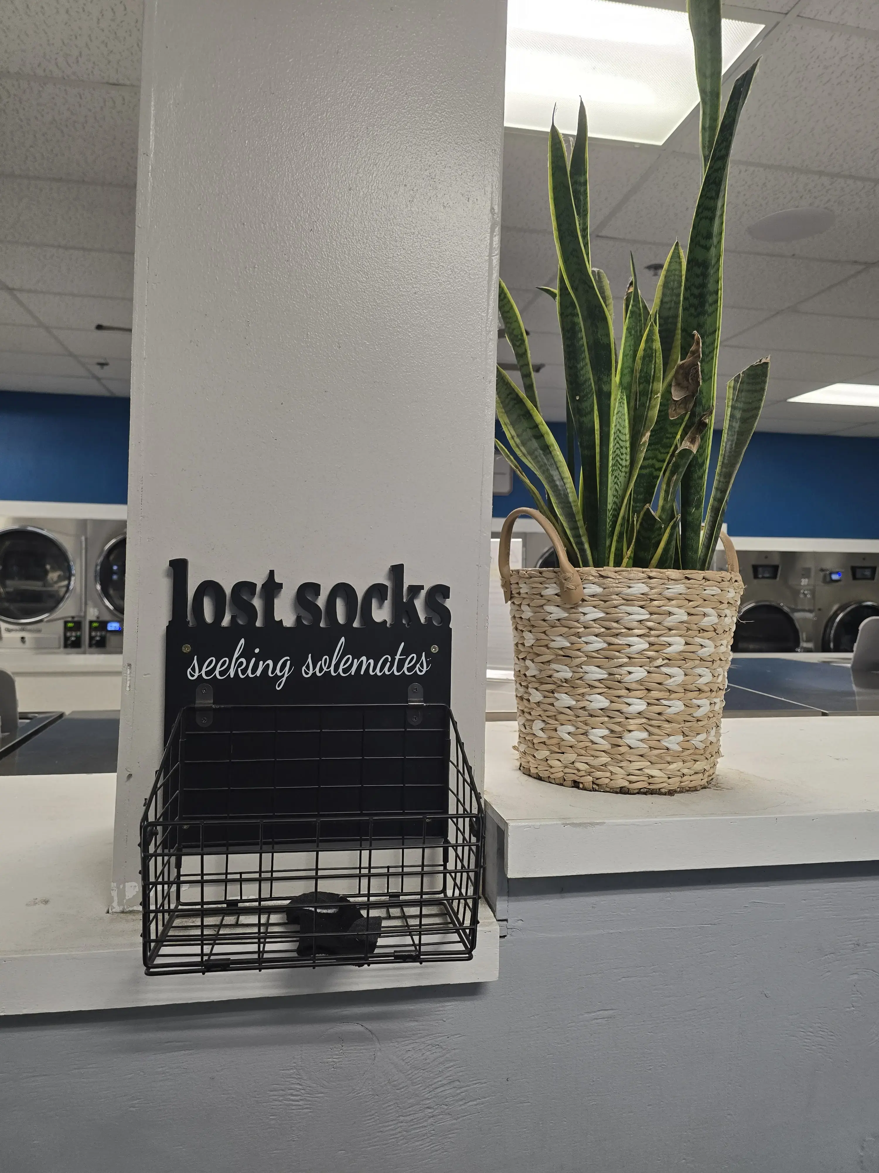 Soapbox Laundry Room and Pure Water - Image 14