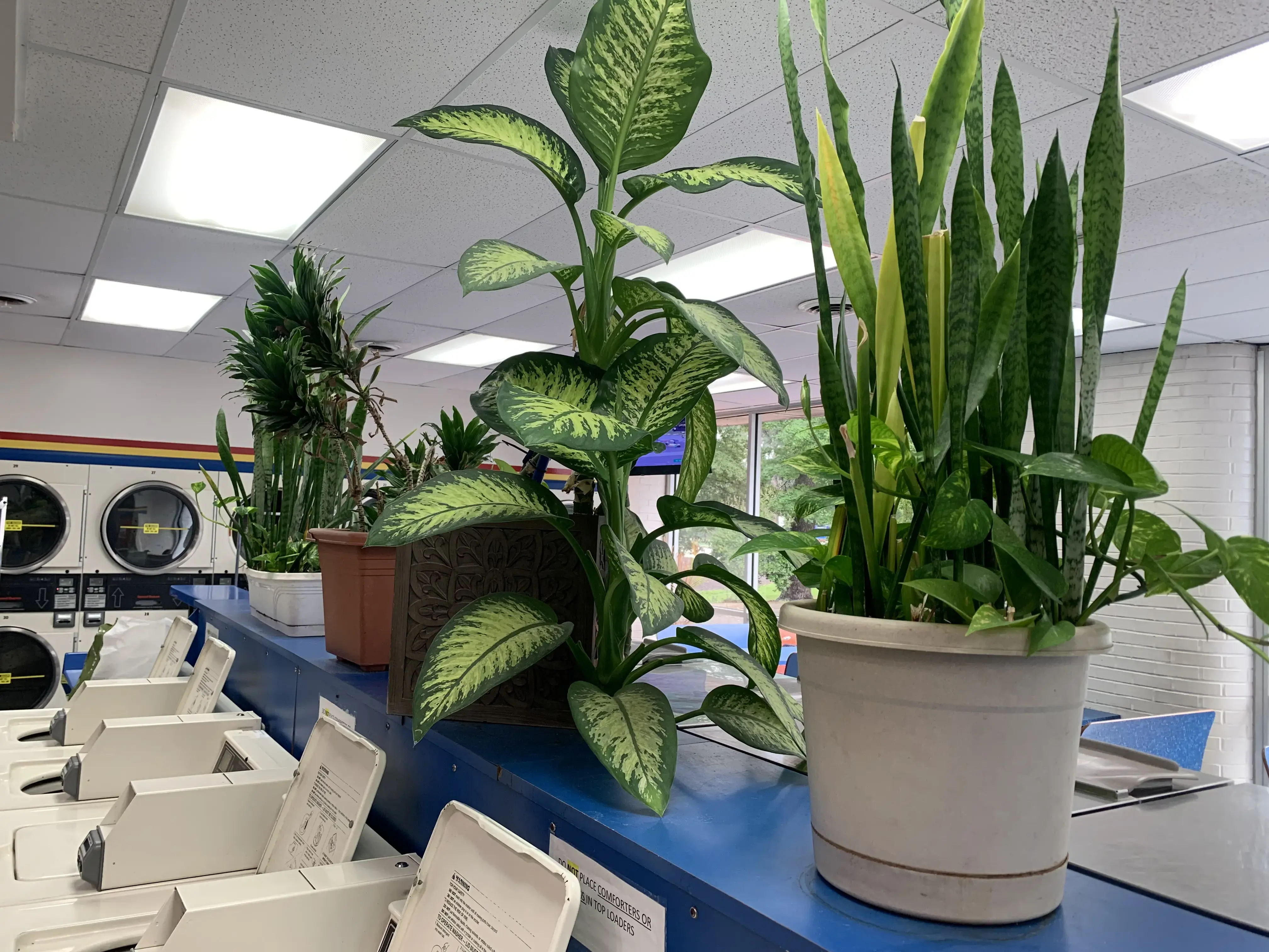 Soaps N Suds Laundromat & Car Wash - Image 4