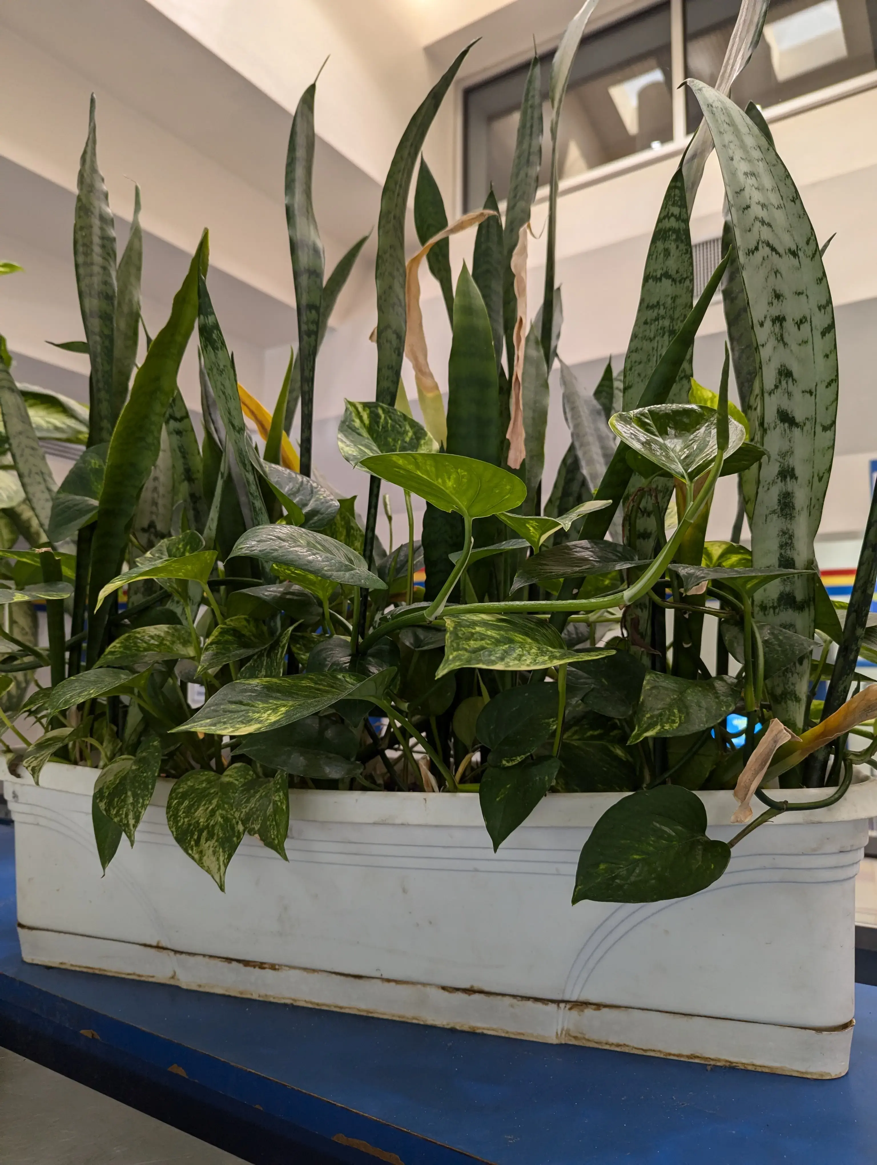 Soaps N Suds Laundromat & Car Wash - Image 6