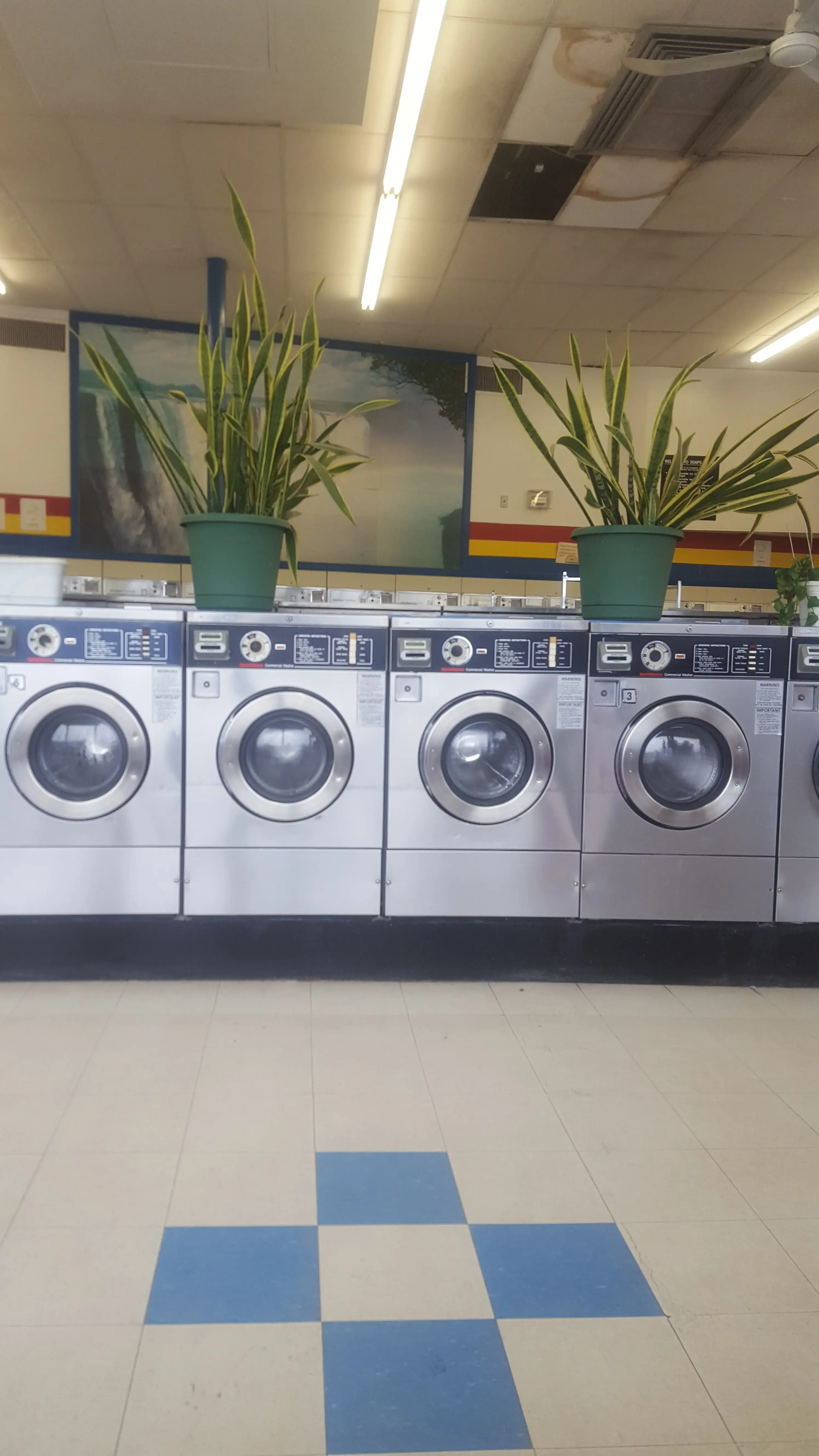 Soaps N Suds Laundromat - Image 16