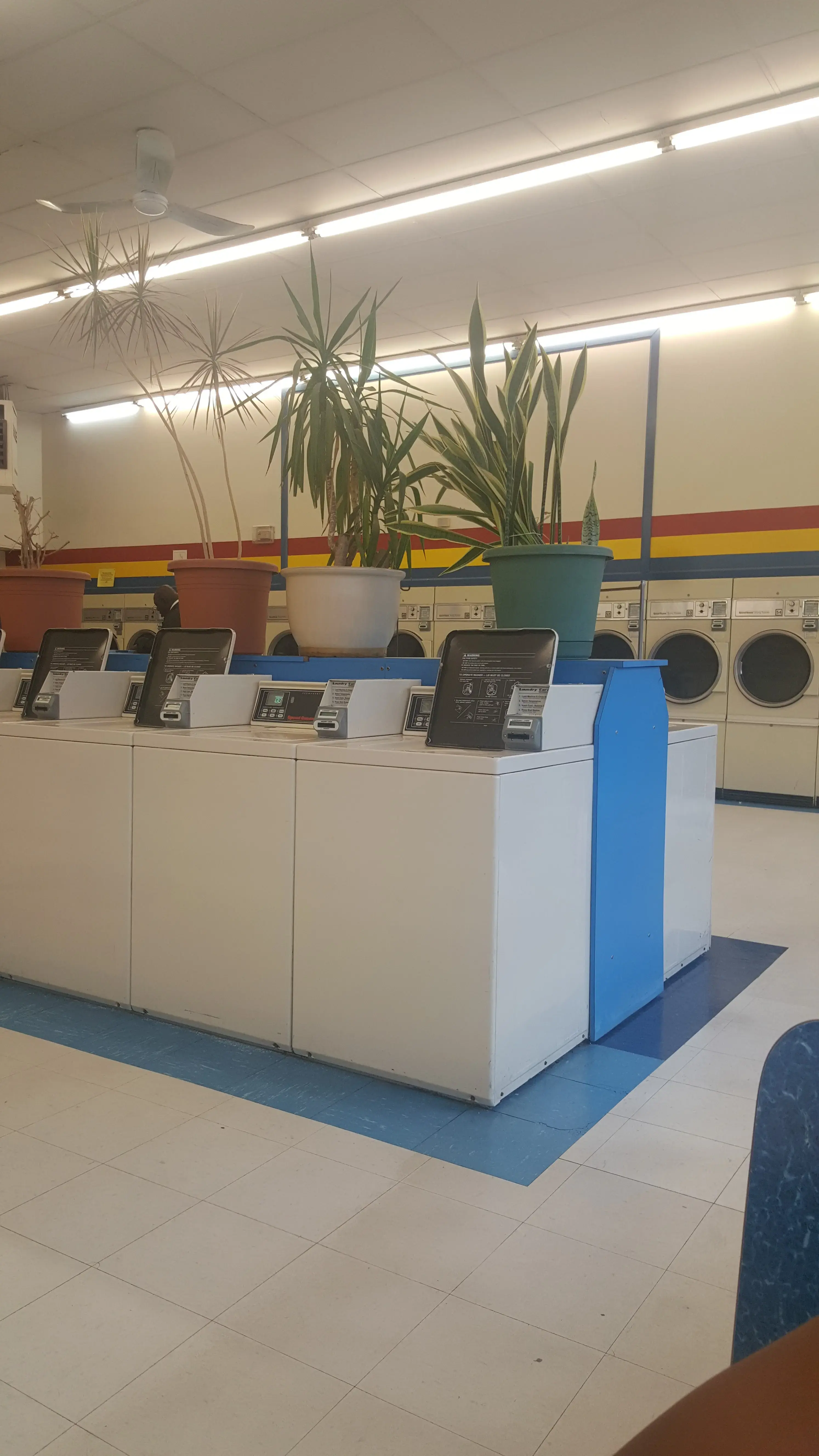 Soaps N Suds Laundromat thumbnail 2