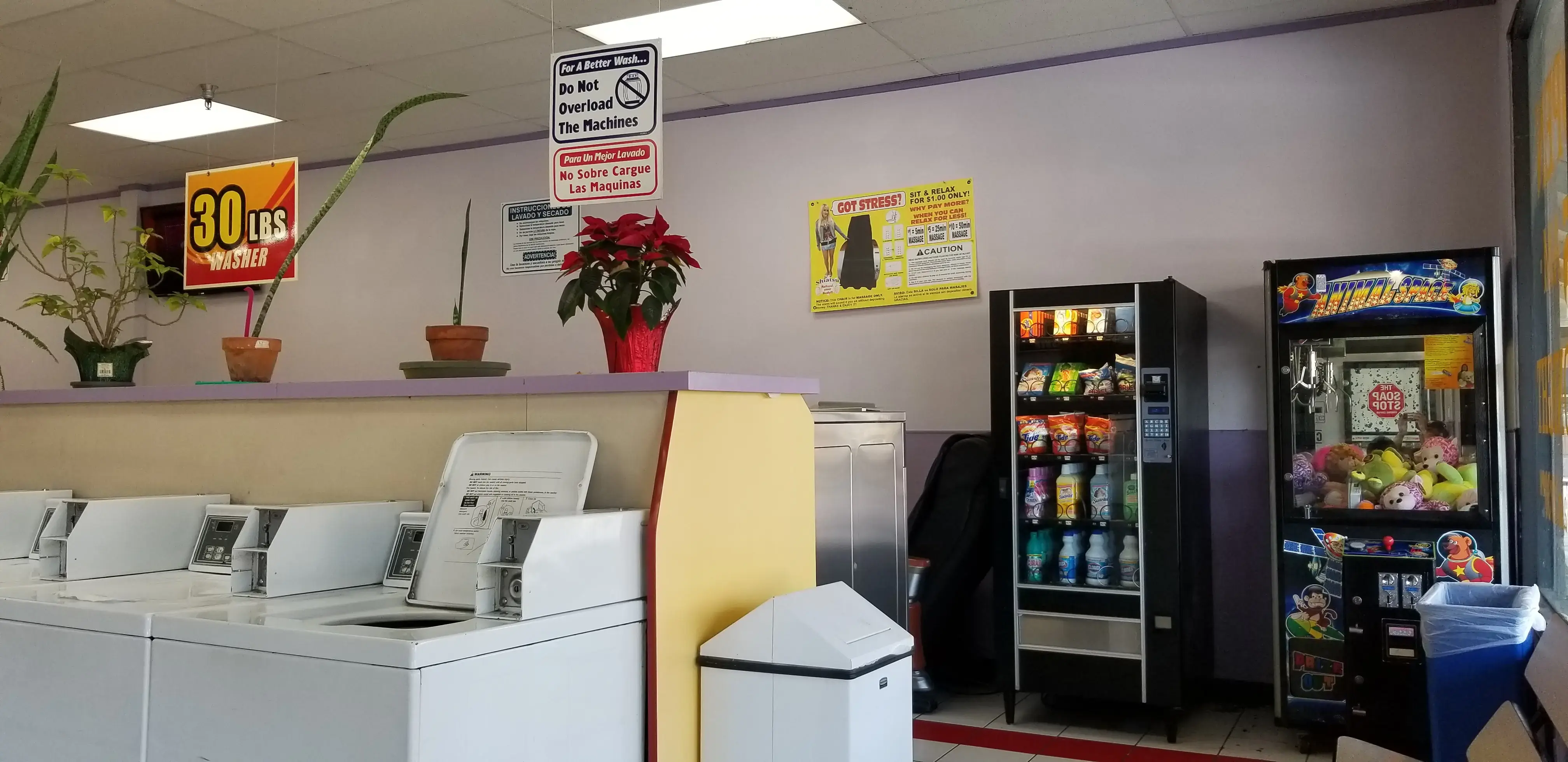 Soapy Lee Coin Laundry thumbnail 8