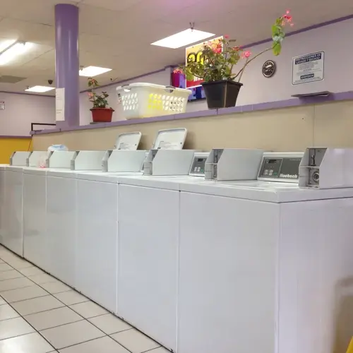 Soapy Lee Coin Laundry thumbnail 11