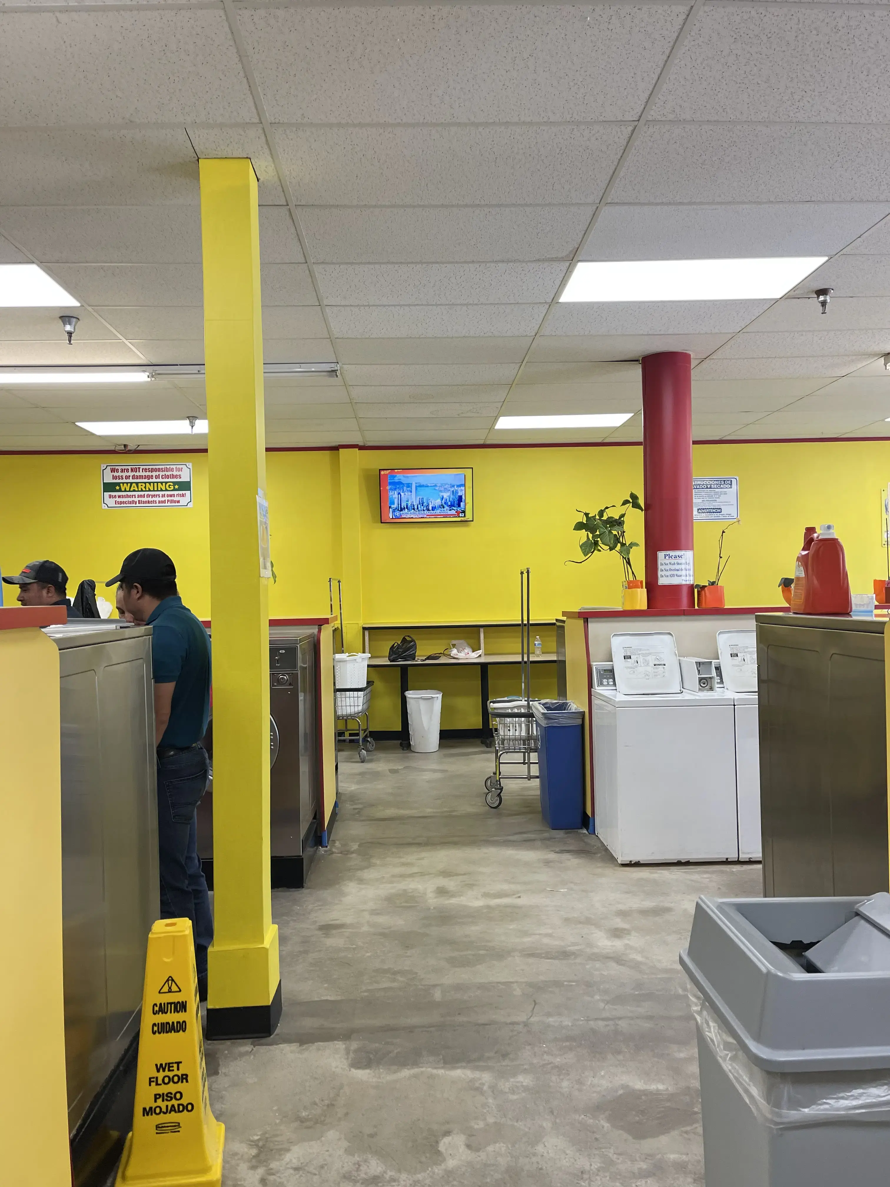 Soapy Lee Coin Laundry thumbnail 12
