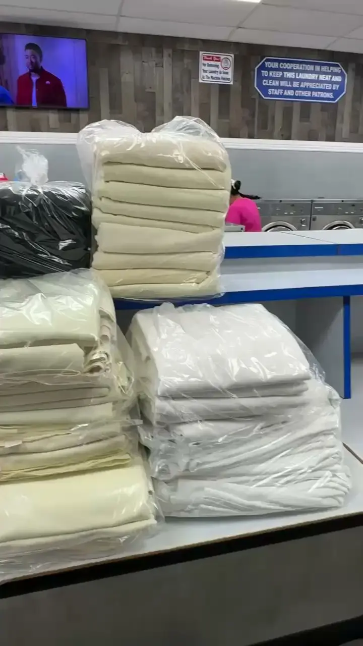 Soapy Lee Laundry - Image 14