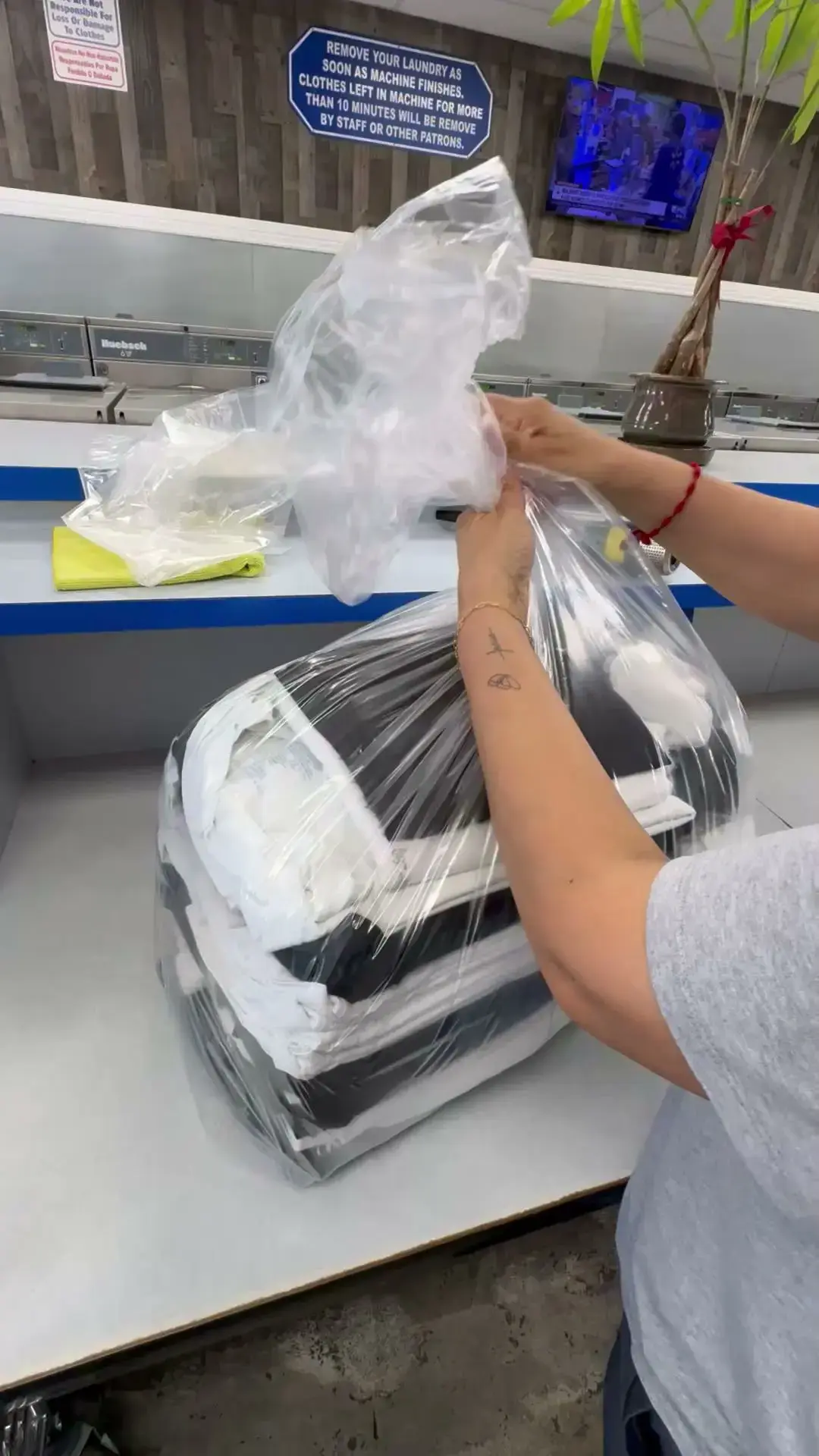 Soapy Lee Laundry thumbnail 2