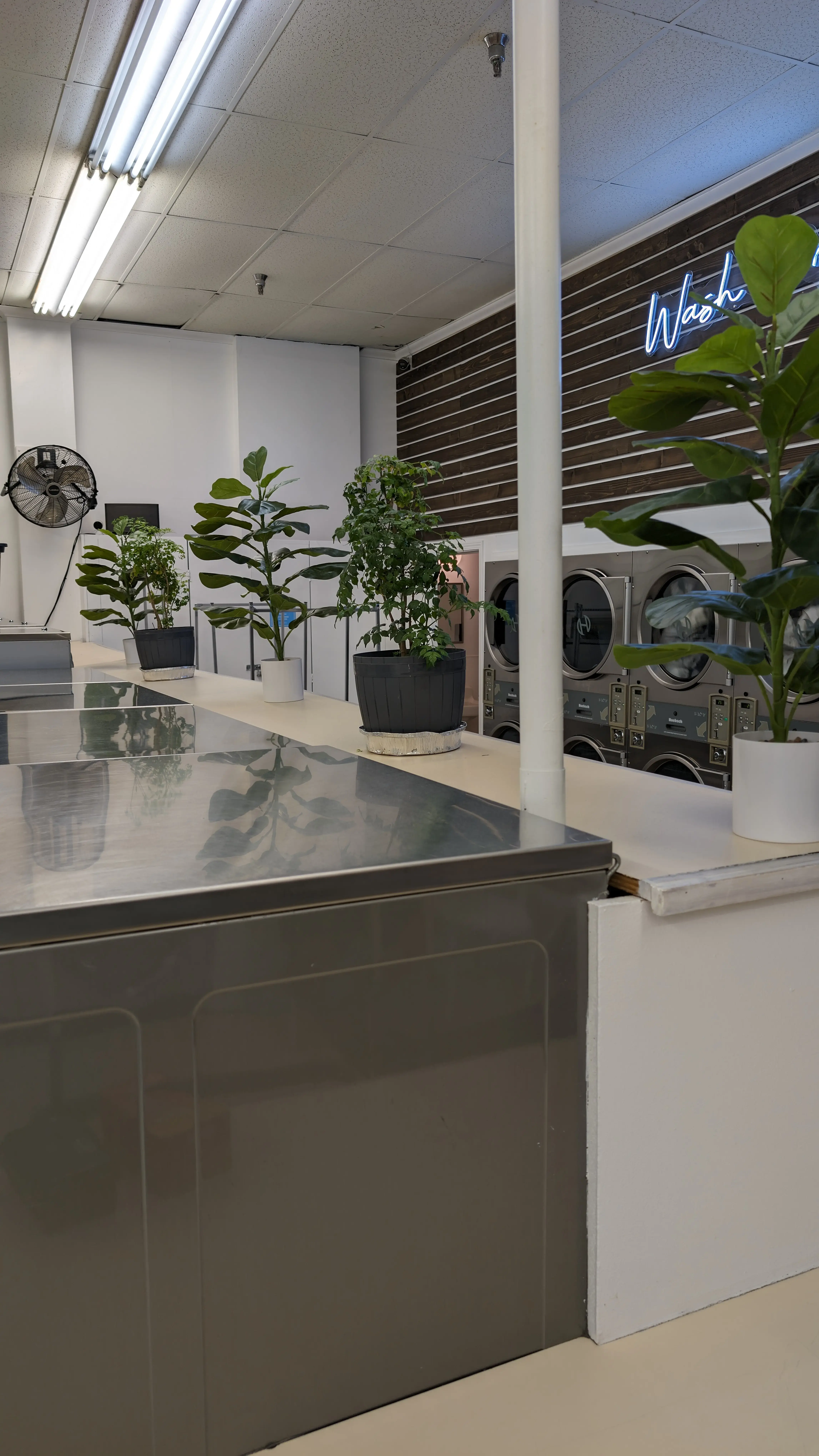 Soapy Suds Laundromat thumbnail 9