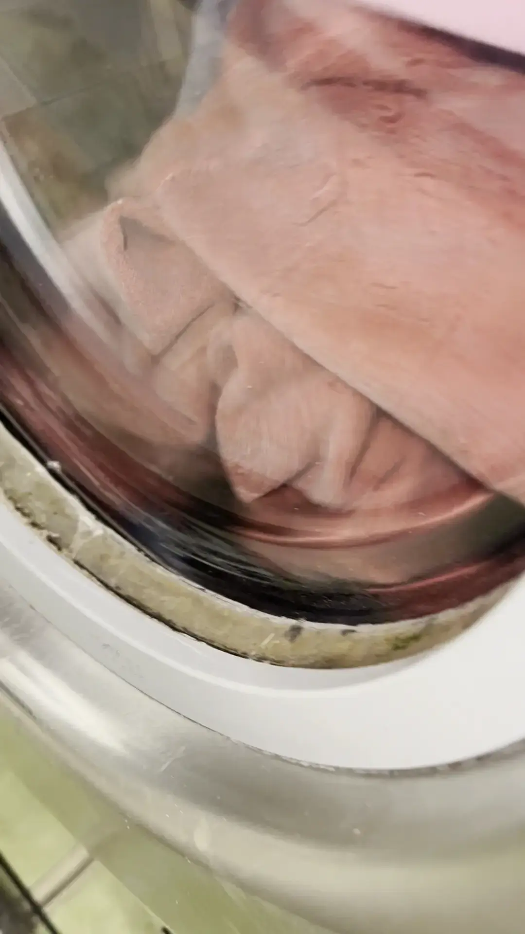 Soapy Times Coin Laundry thumbnail 11