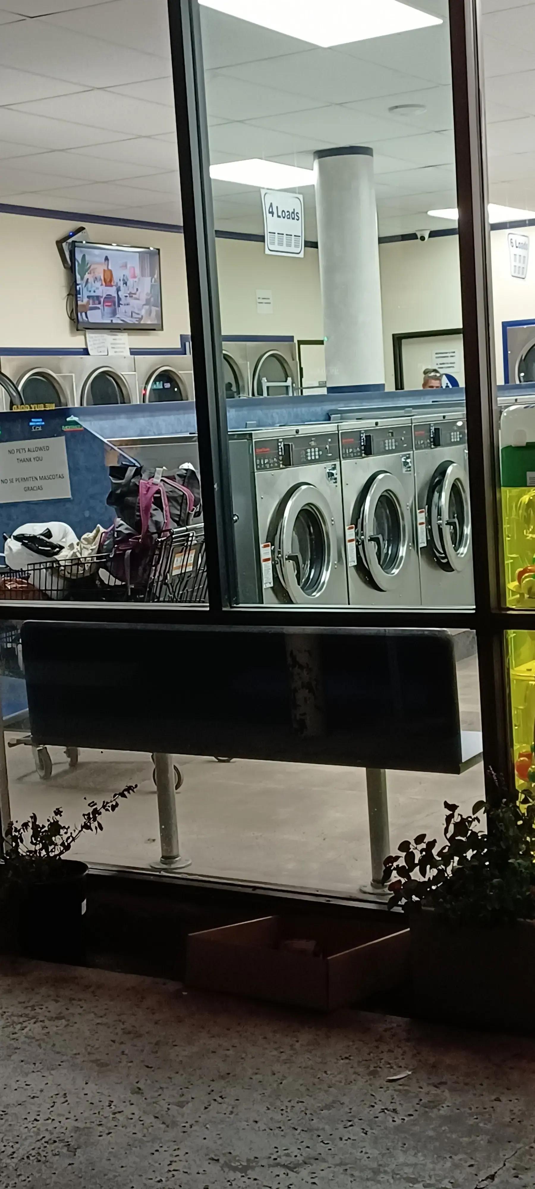 SoCal Wash and Fold - Chatsworth - Image 13
