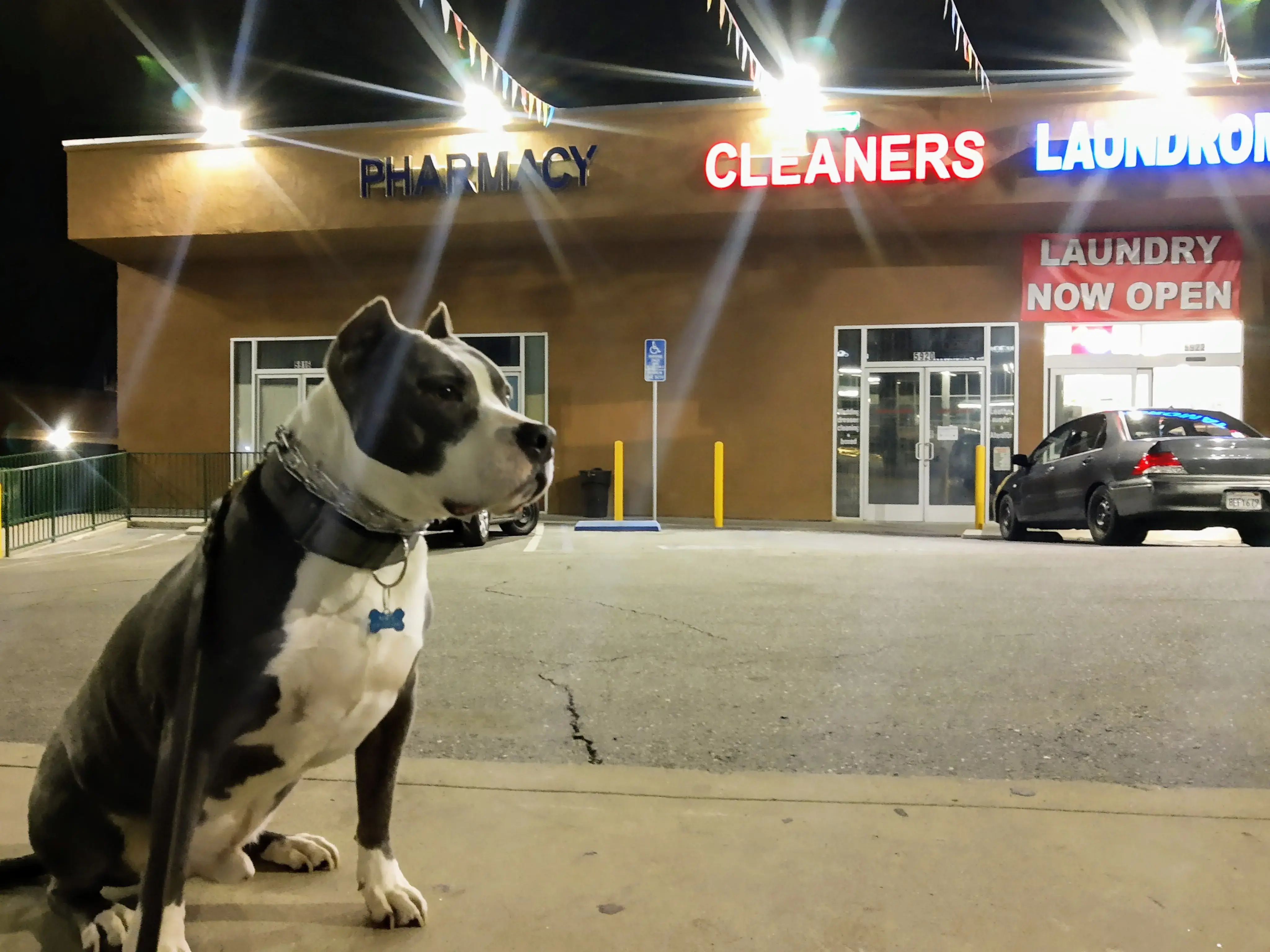 SoCal Wash and Fold - Highland Park - Image 7