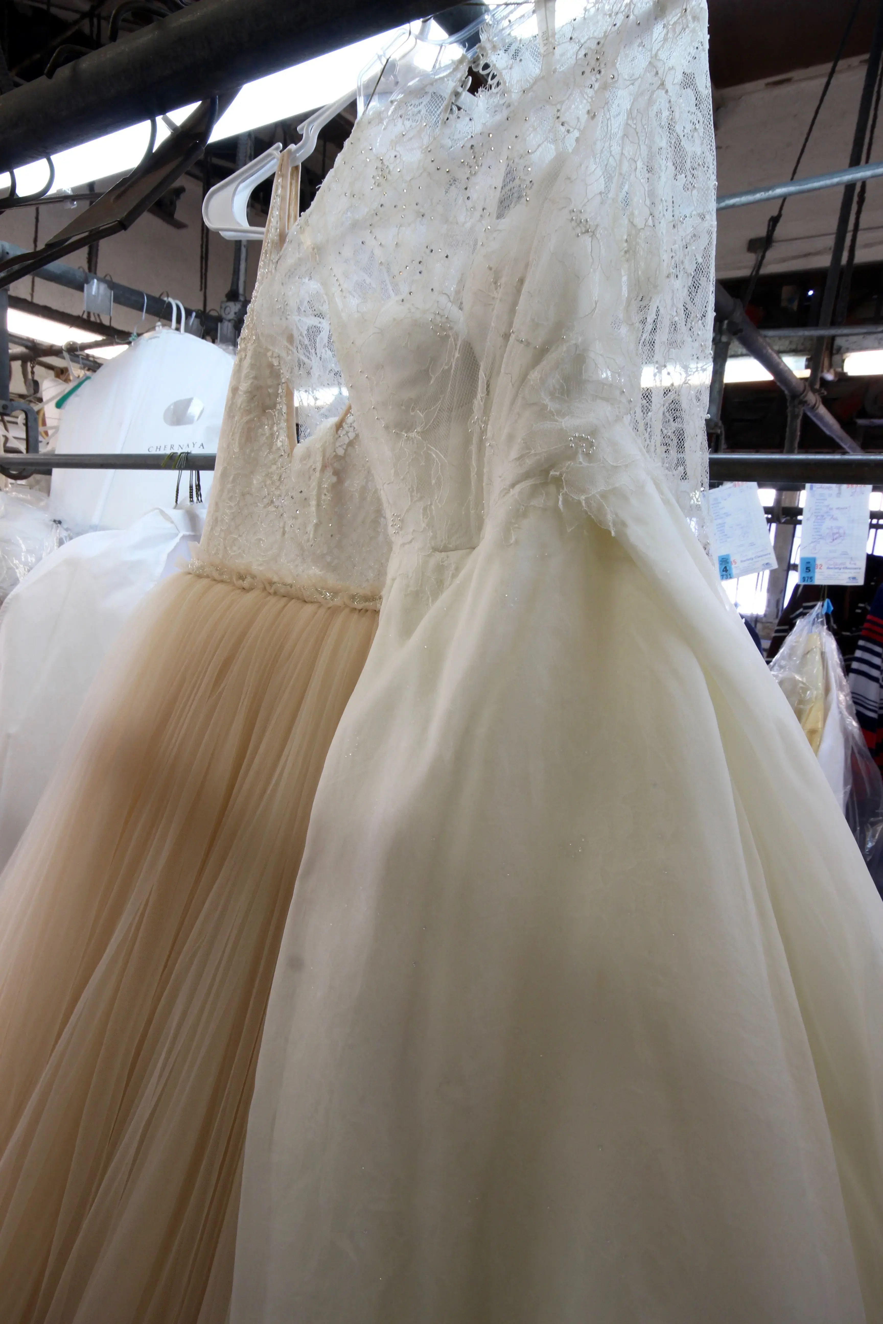 Society Cleaners - Dry Cleaning Company - Image 6