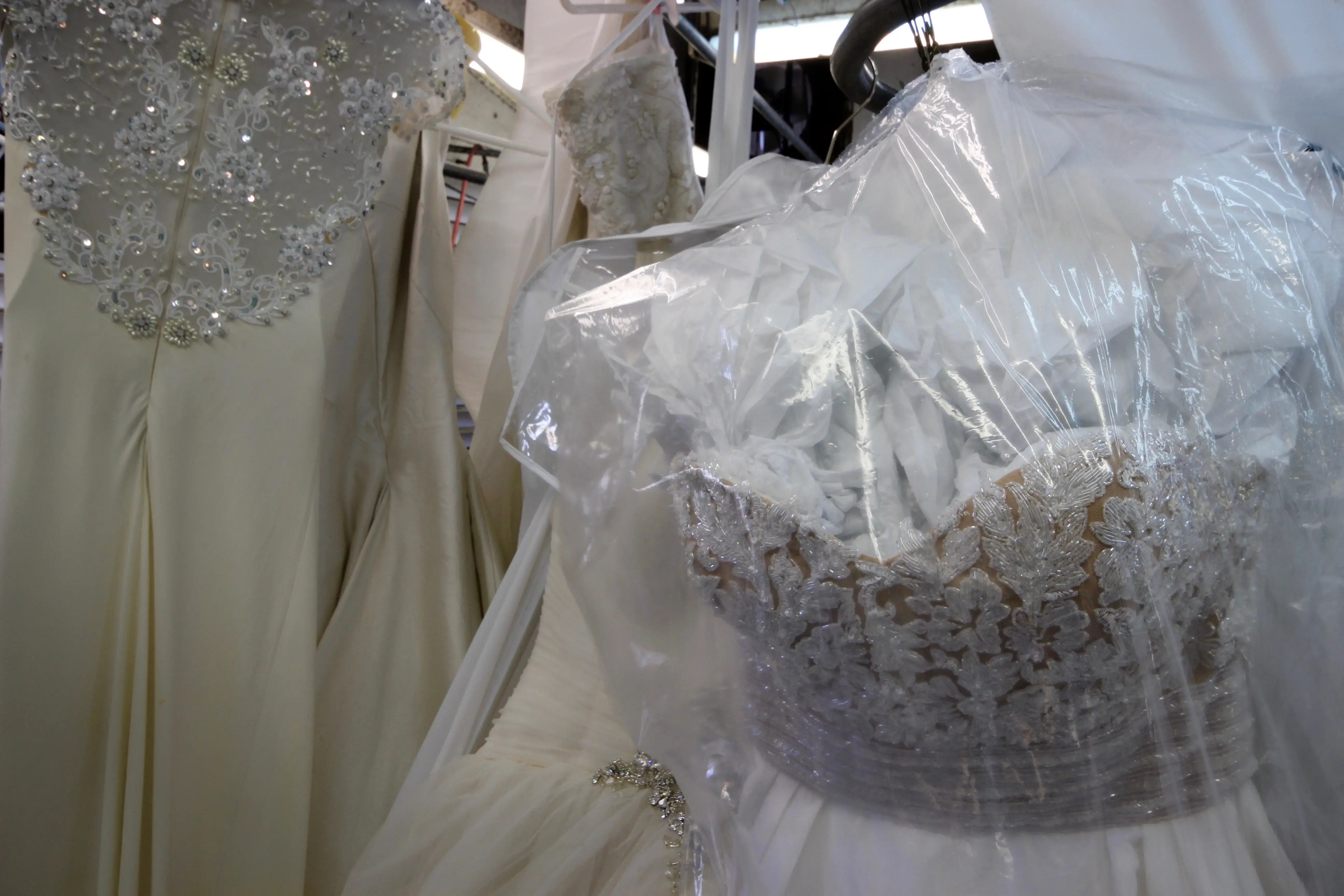 Society Cleaners - Dry Cleaning Company - Image 9