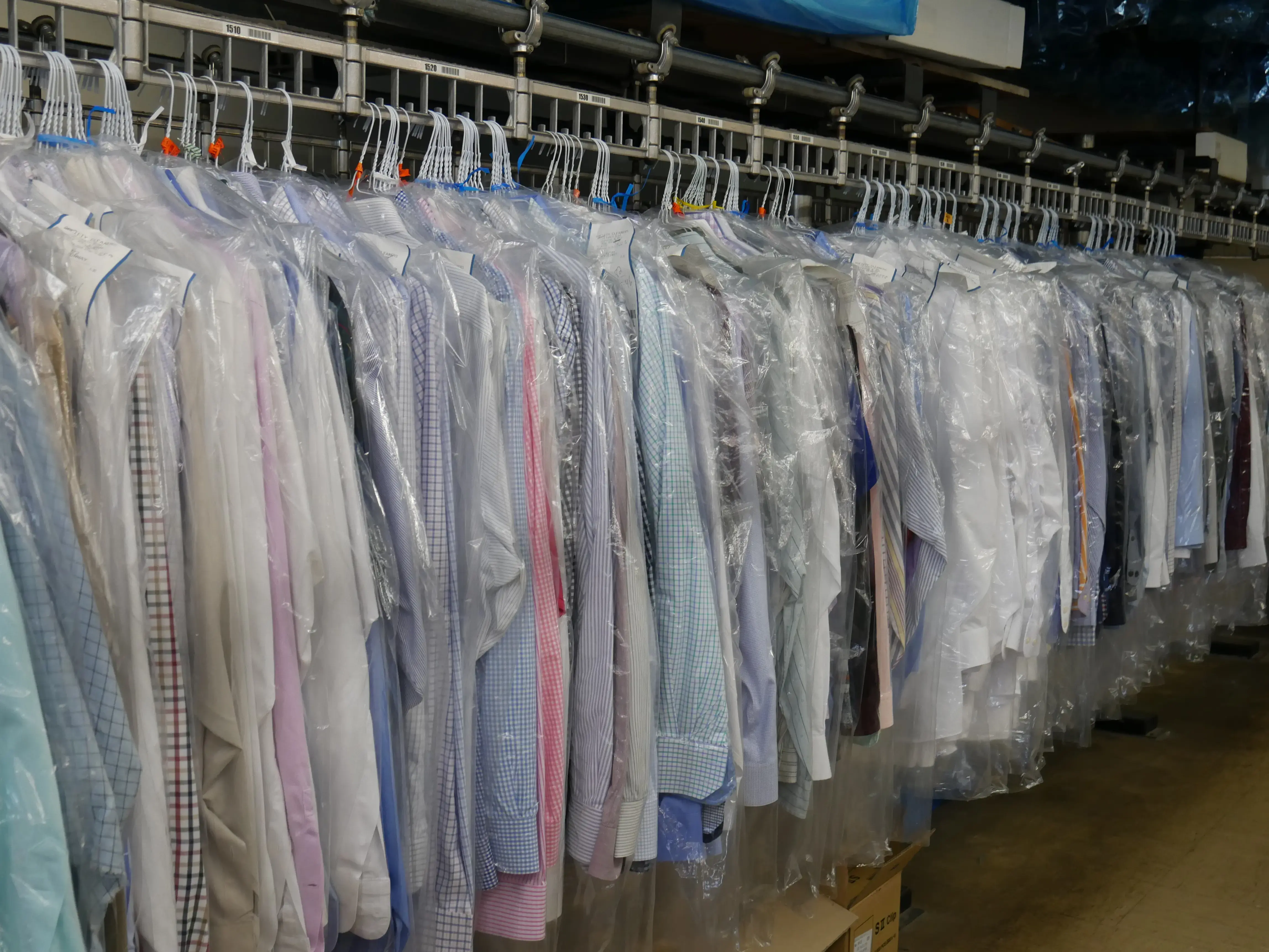 Society Cleaners - Image 13