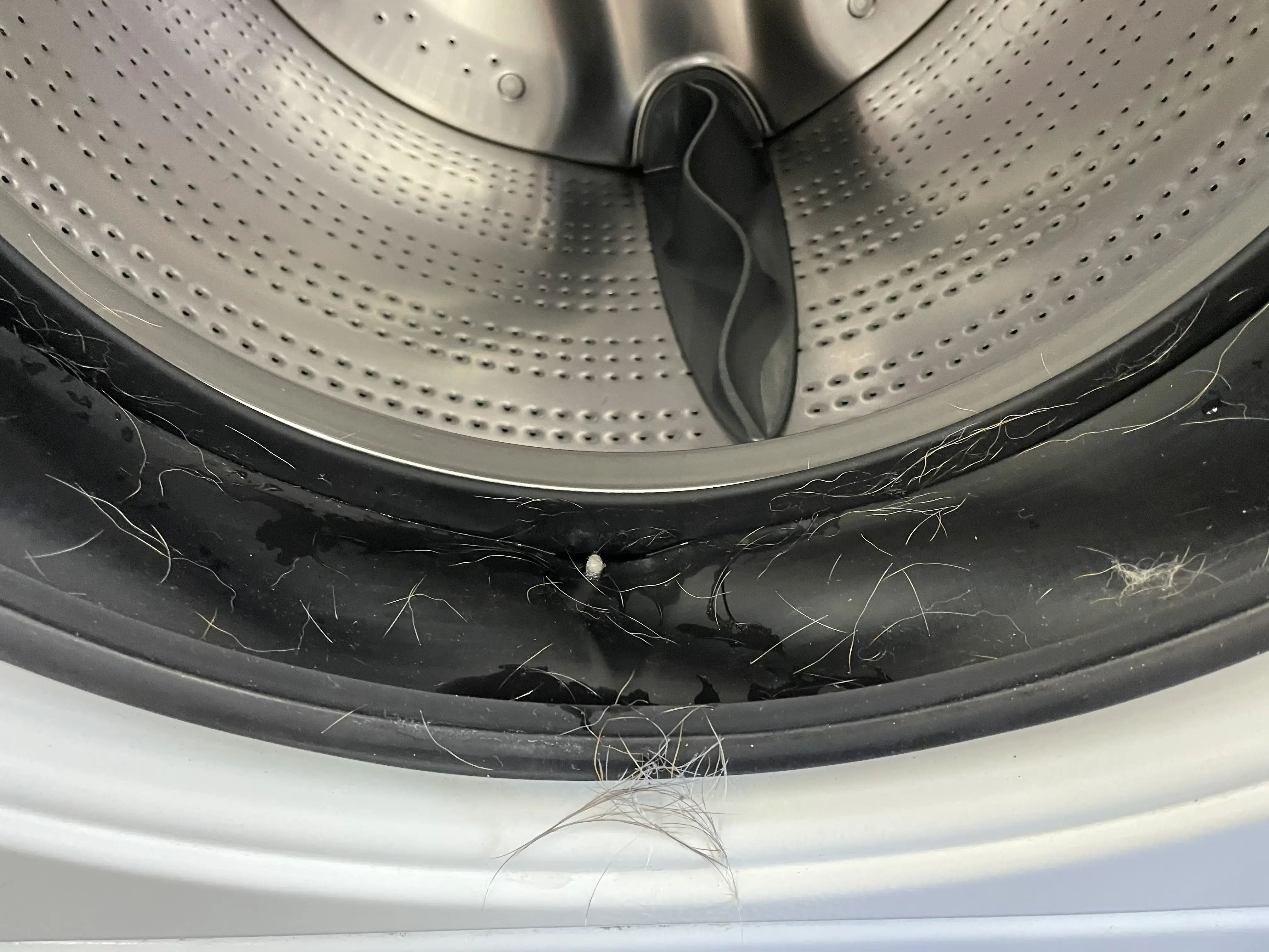 Solana Laundromat thumbnail 16