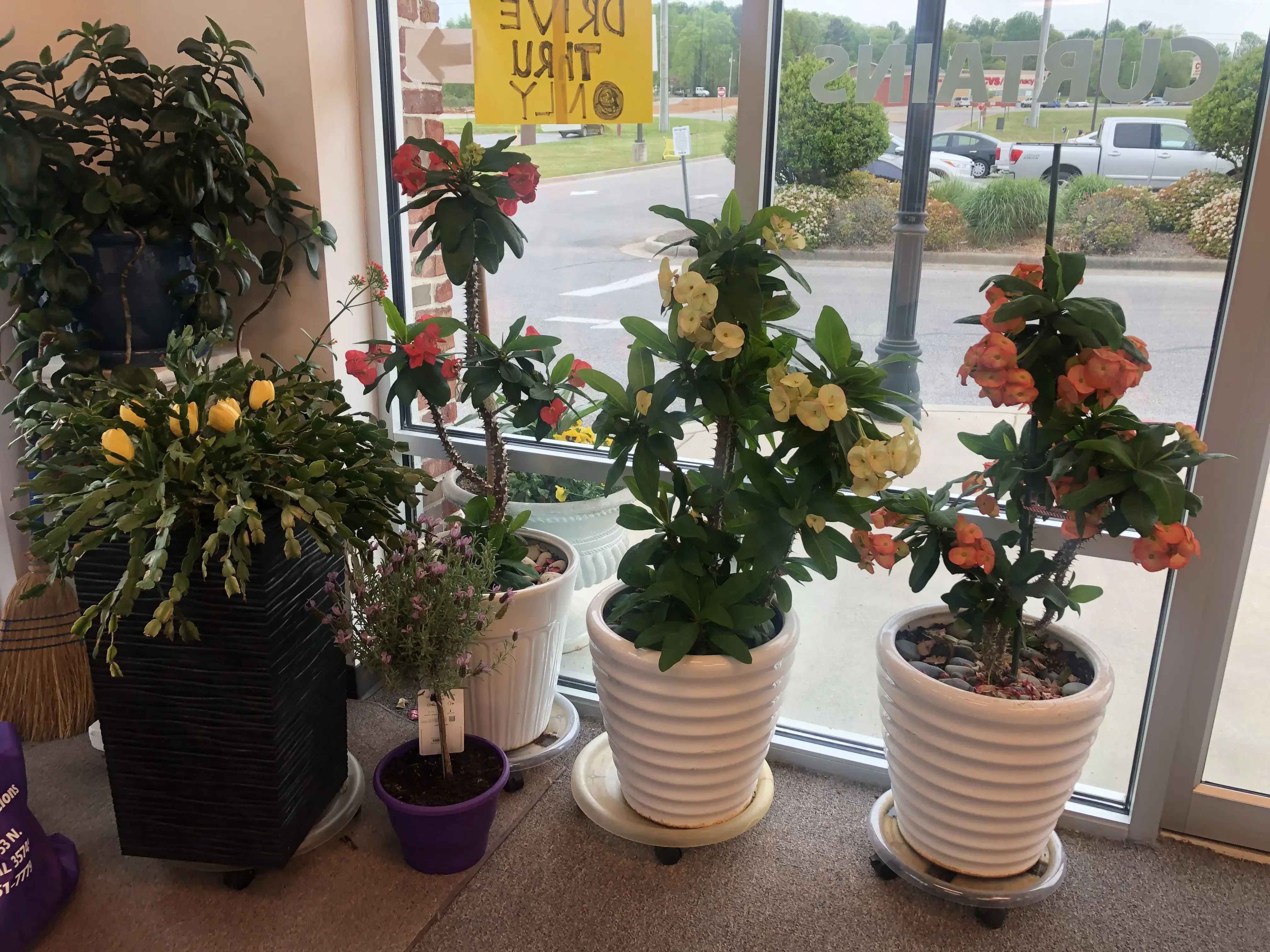 Songs Cleaner & Alteration thumbnail 8