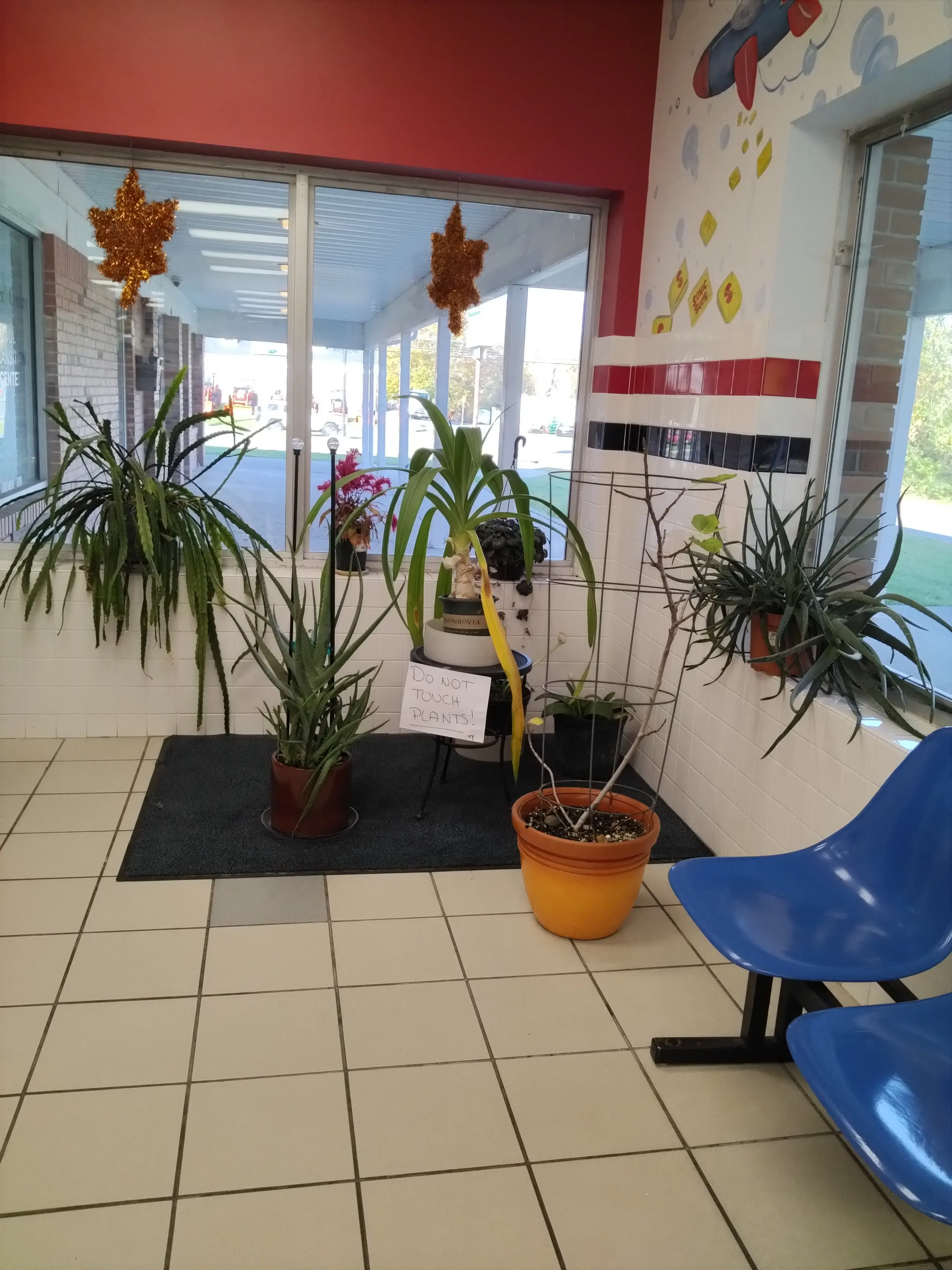 Sonic Suds Laundromat of Newton - Image 6