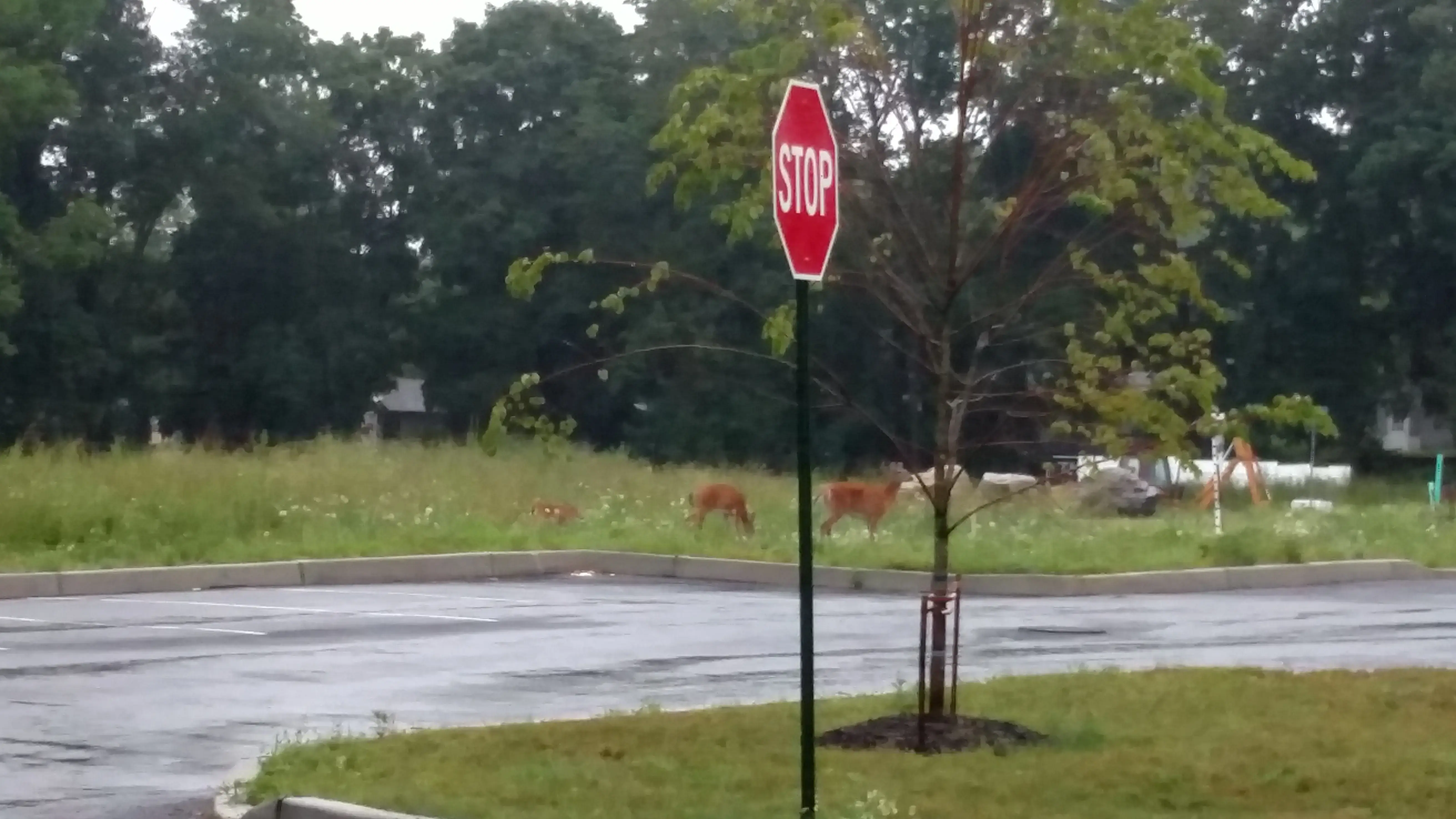Sonic Suds Laundromat of Newton - Image 12