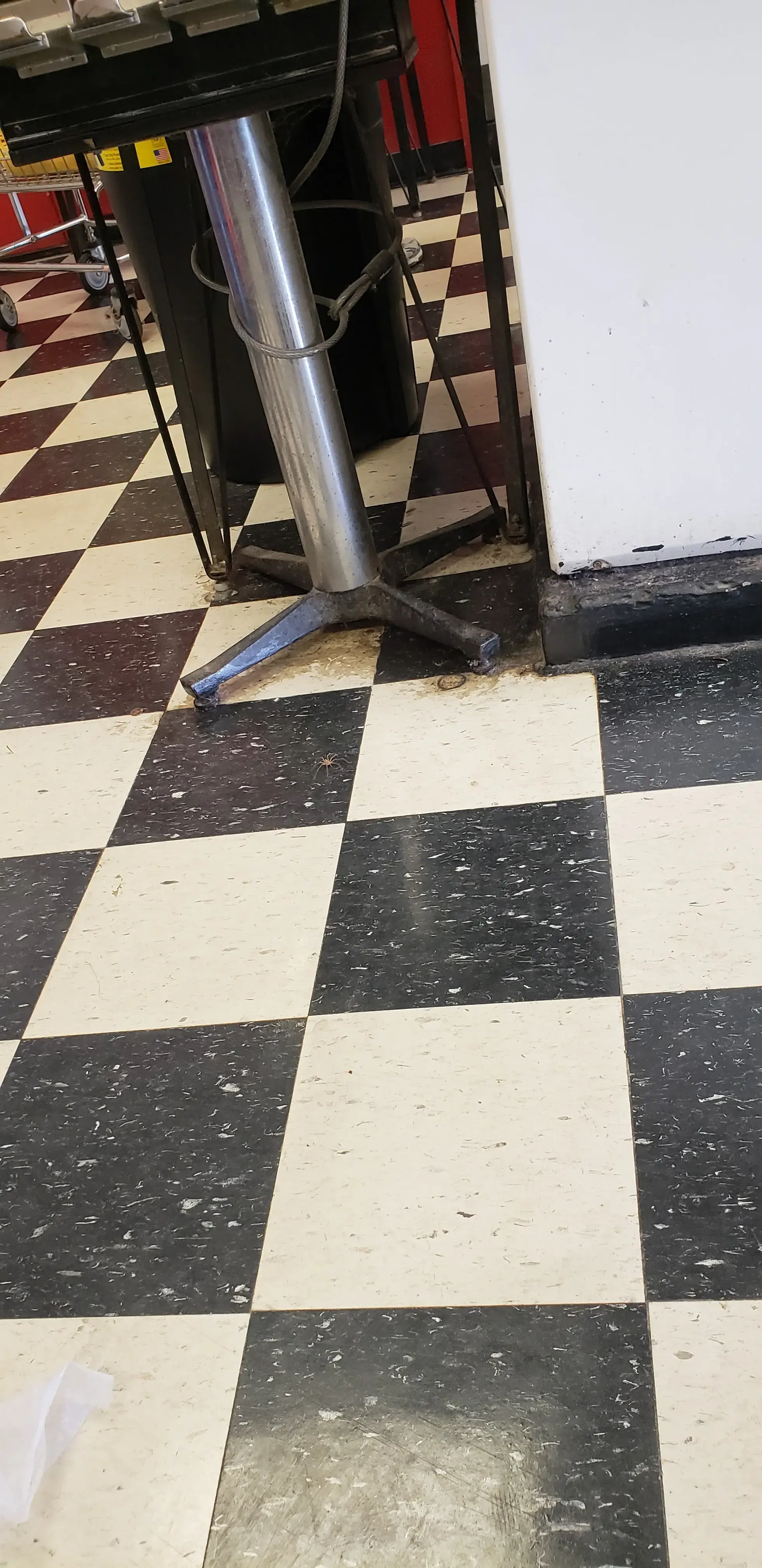 Sophie’s Laundromat thumbnail 20