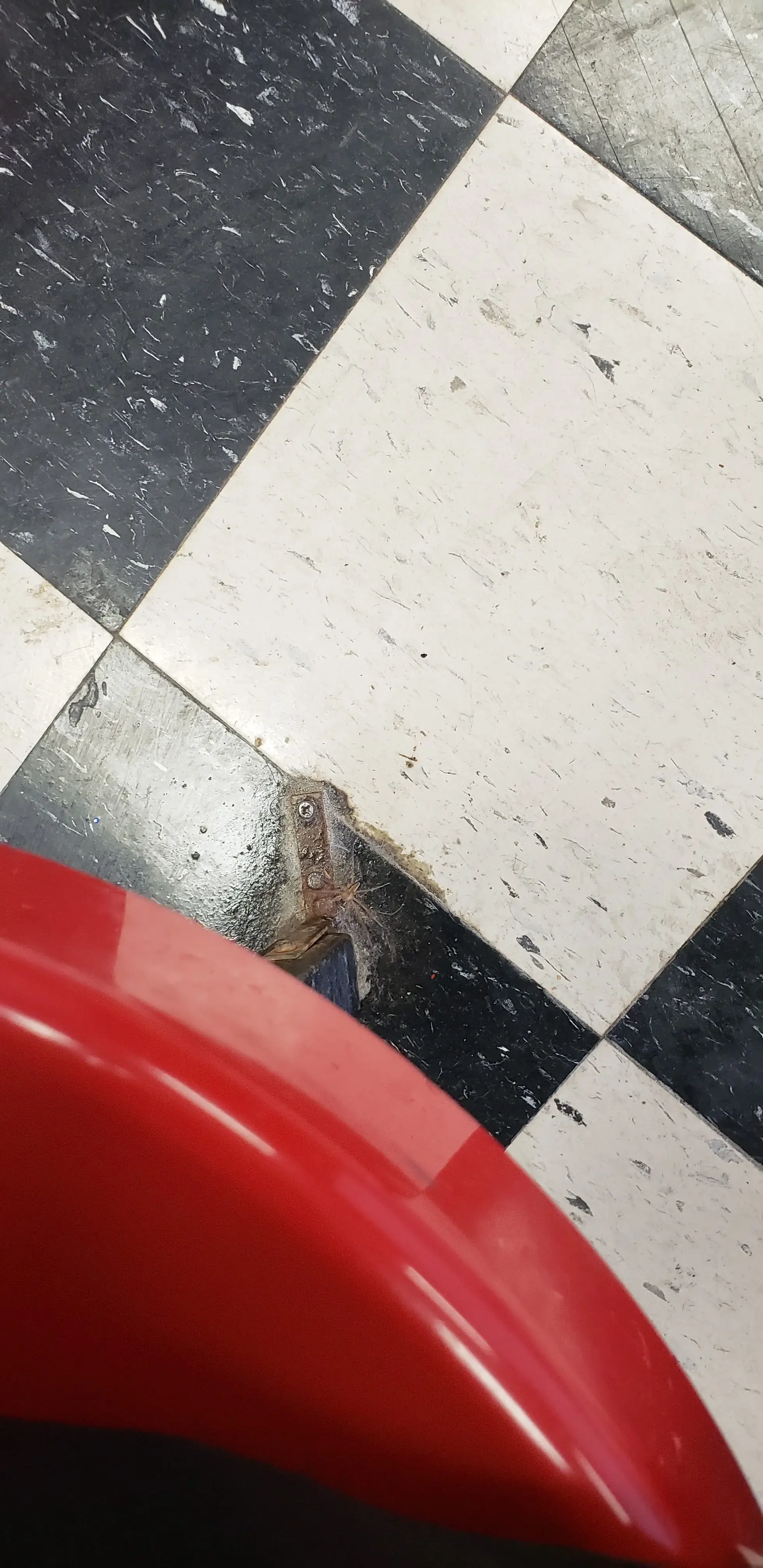 Sophie’s Laundromat thumbnail 14