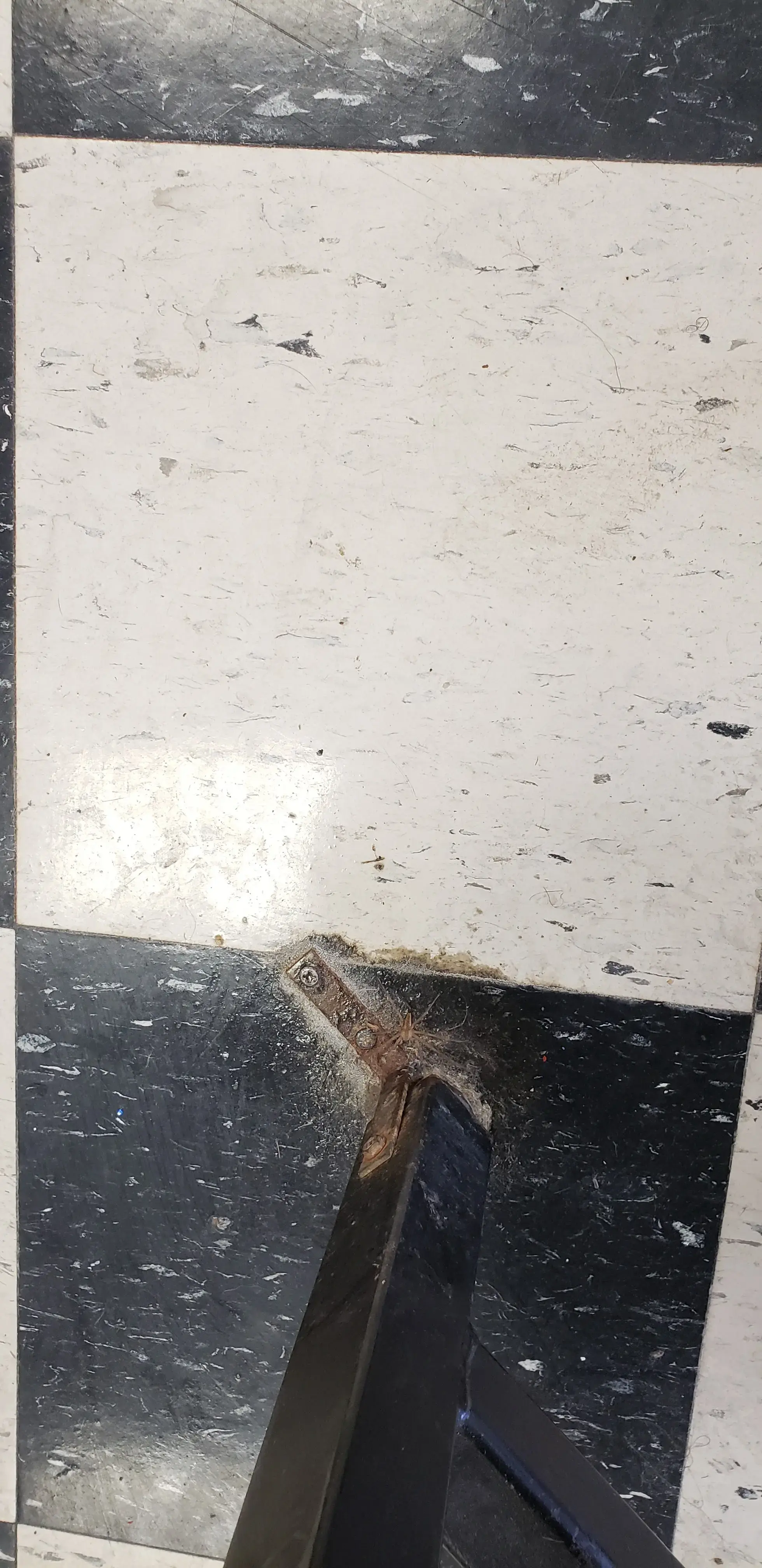 Sophie’s Laundromat - Image 19