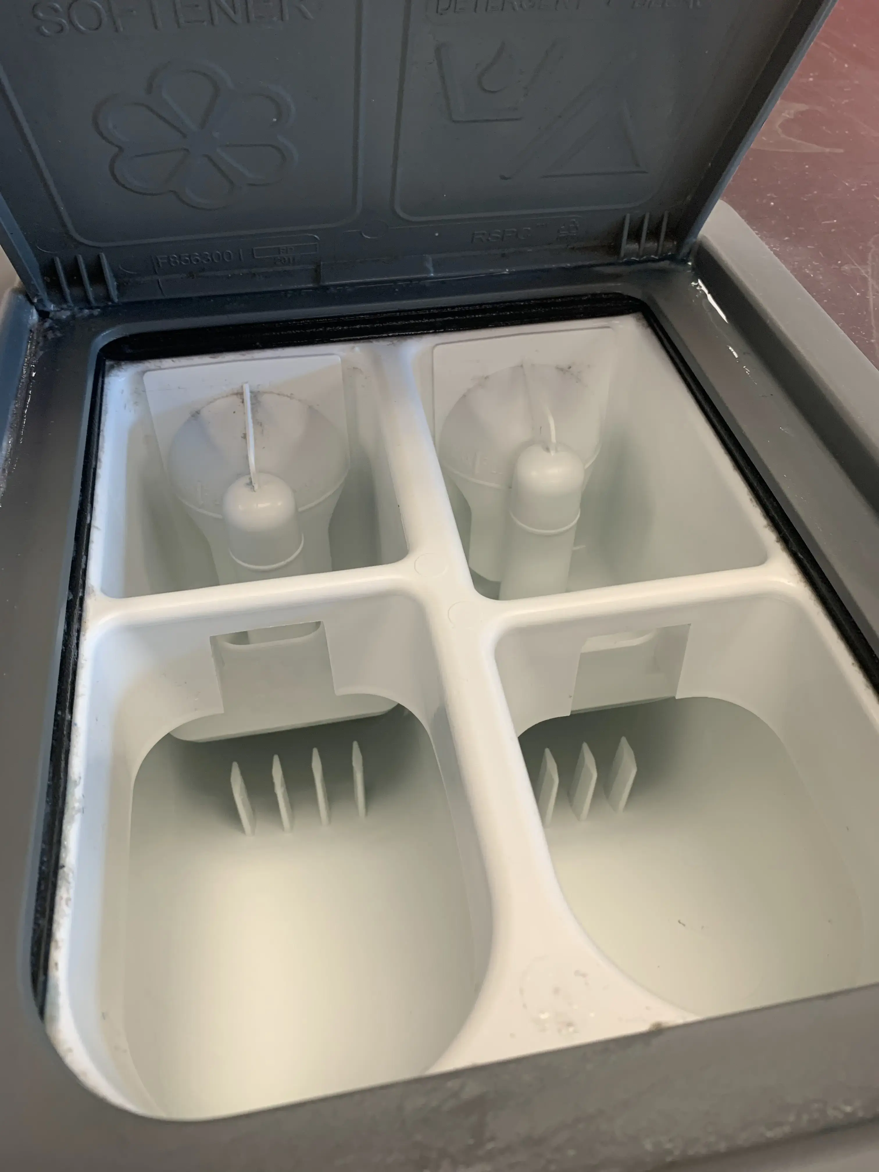 Sophie’s Laundromat - Image 6