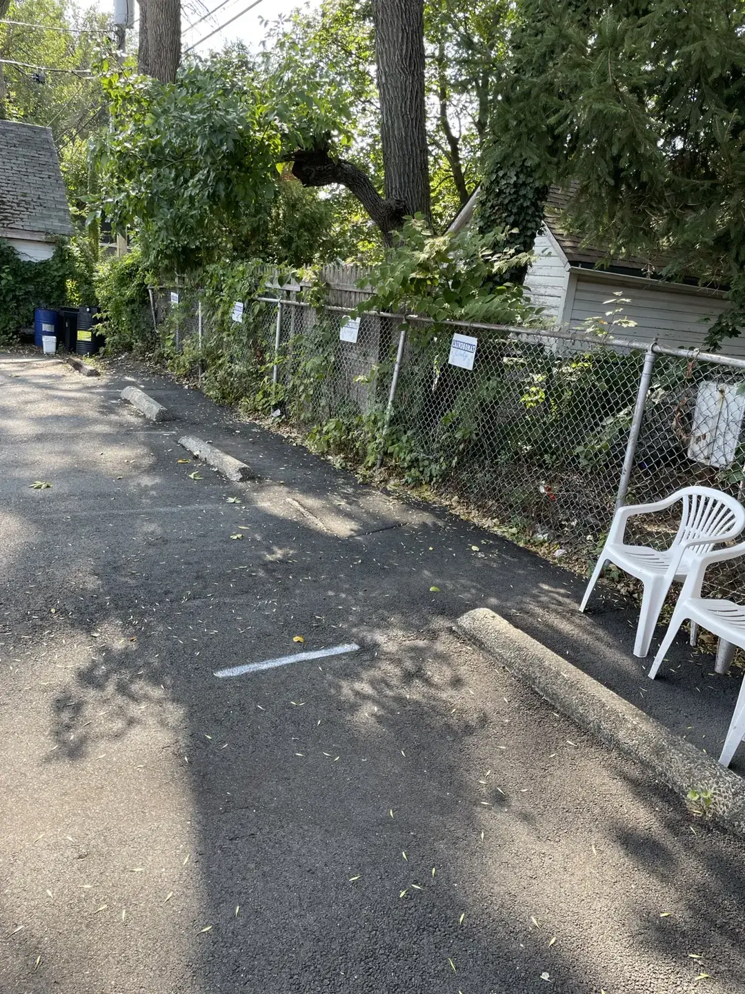 South Orange Laundromat Wash & Fold thumbnail 15