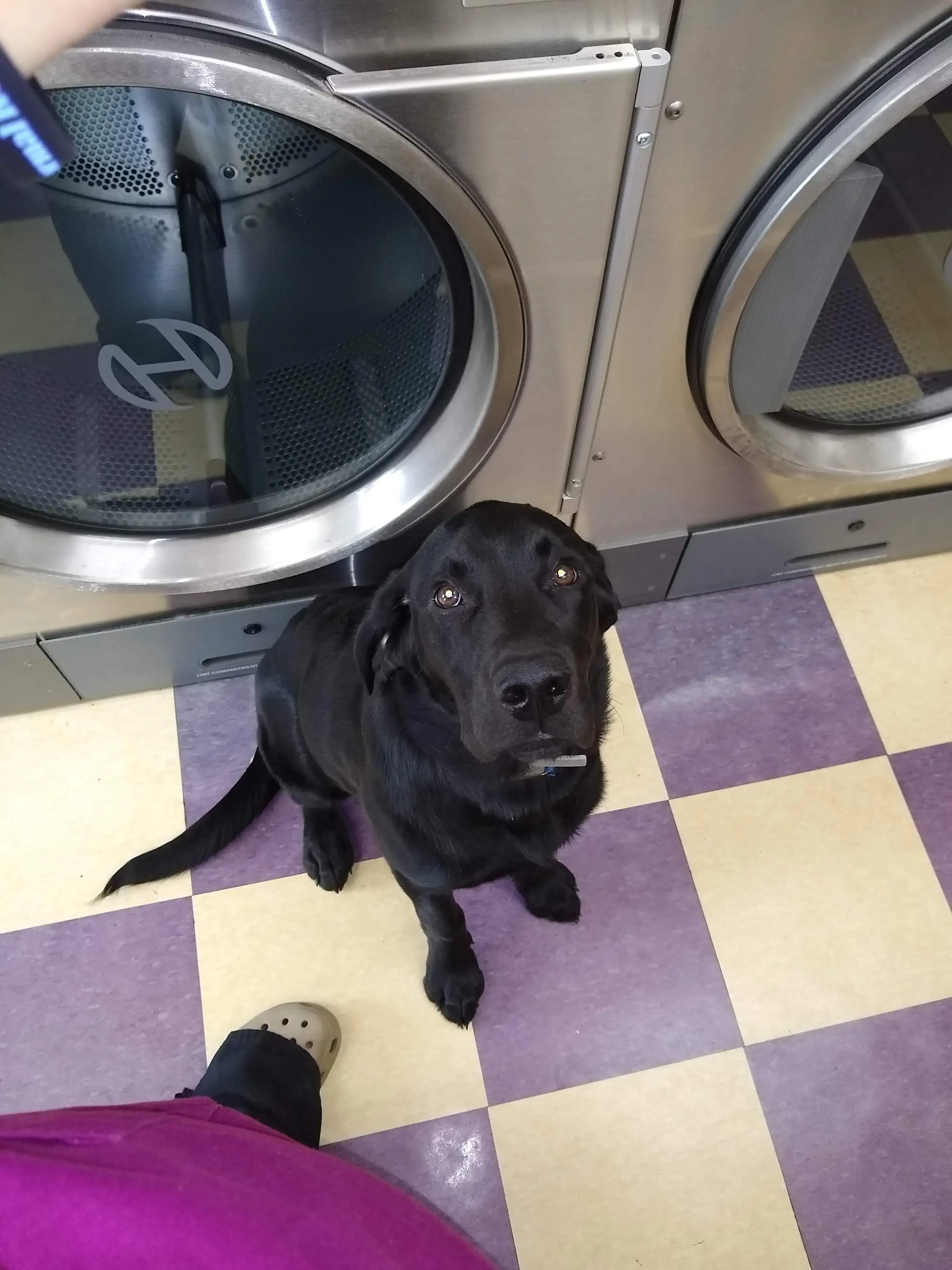 South Shore Laundromat thumbnail 9