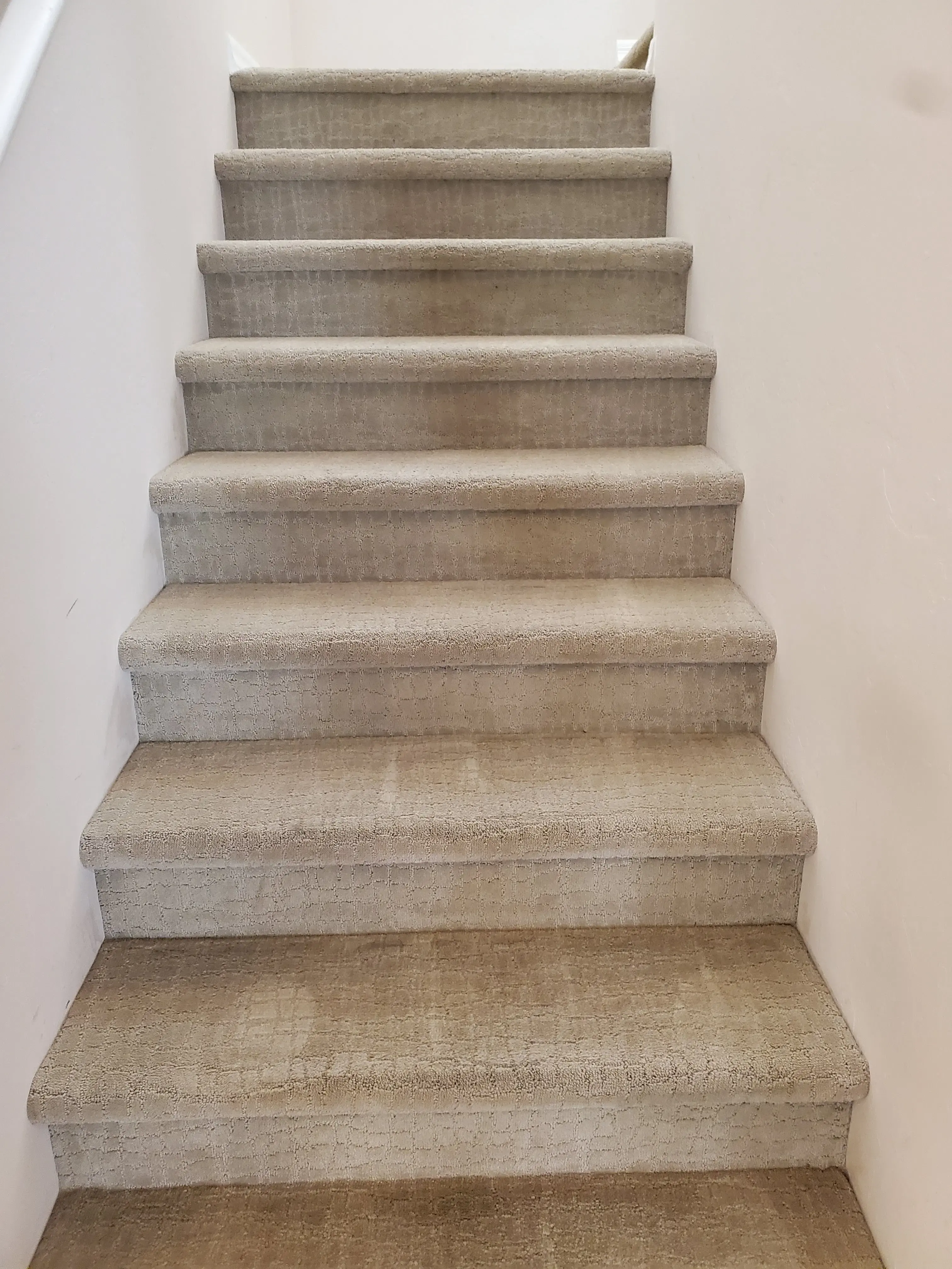 Sparkle Cleaners - Drachman thumbnail 15