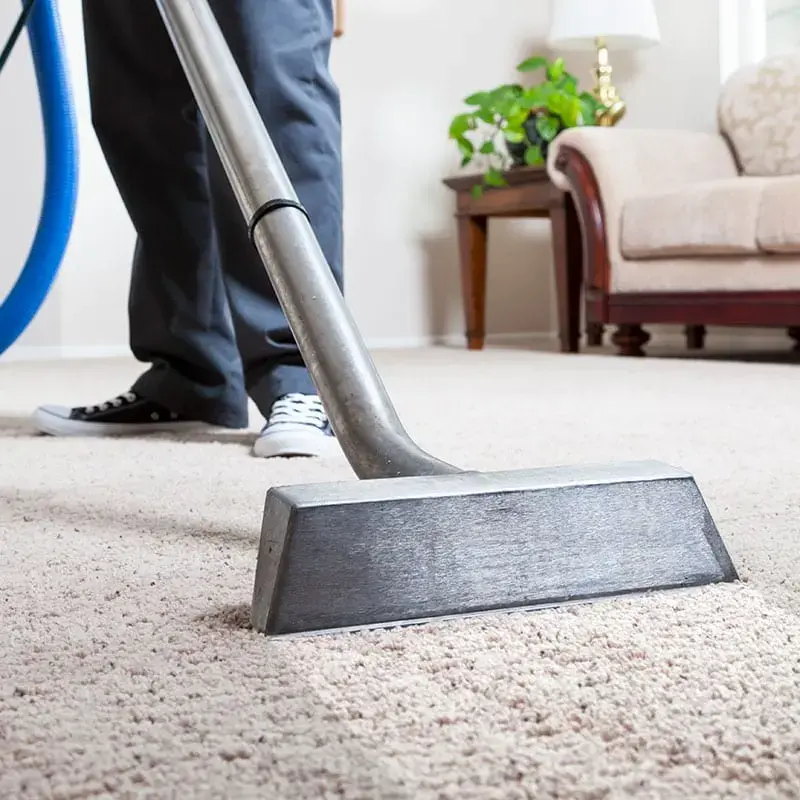 Sparkle Cleaners - Swan - Image 2