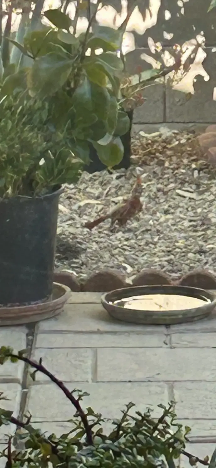 Sparkle Cleaners - Tanque Verde thumbnail 9