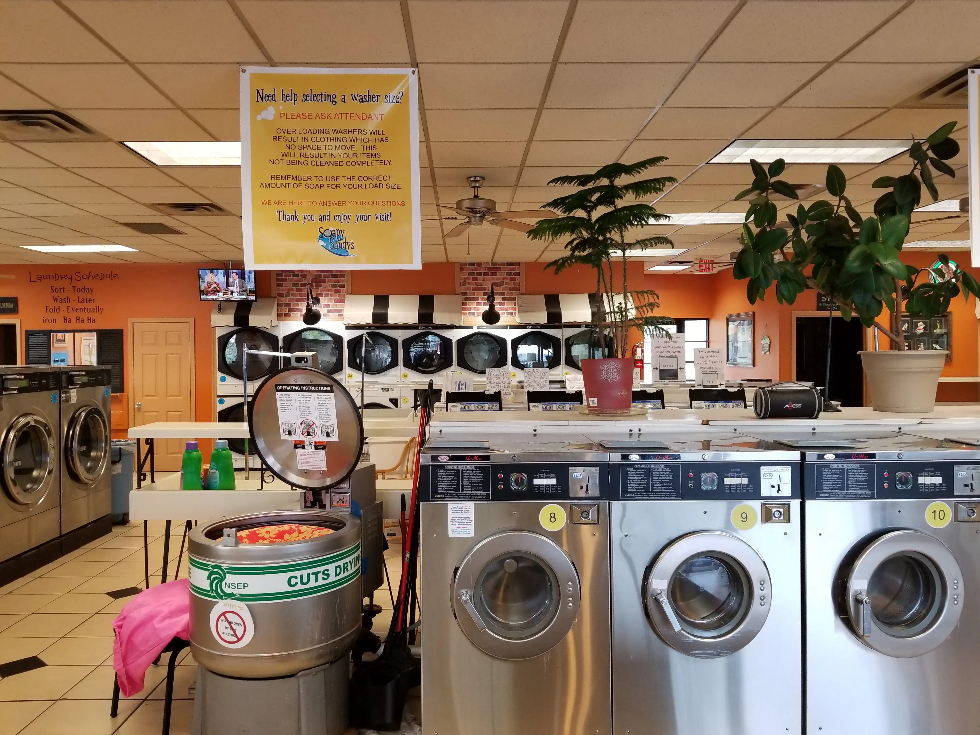 Sparkle Laundry thumbnail 16