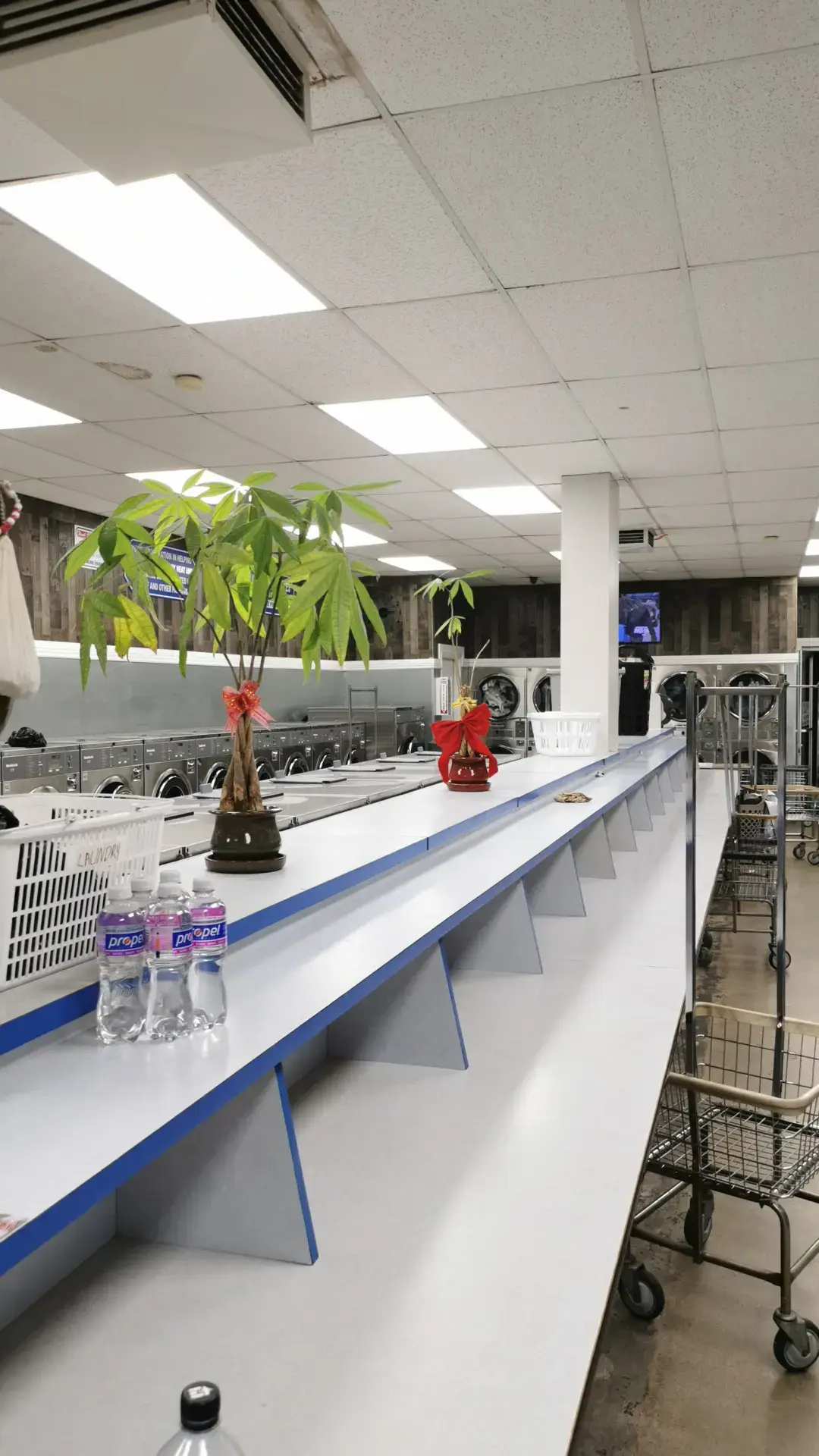 Sparklean Laundry - Image 8