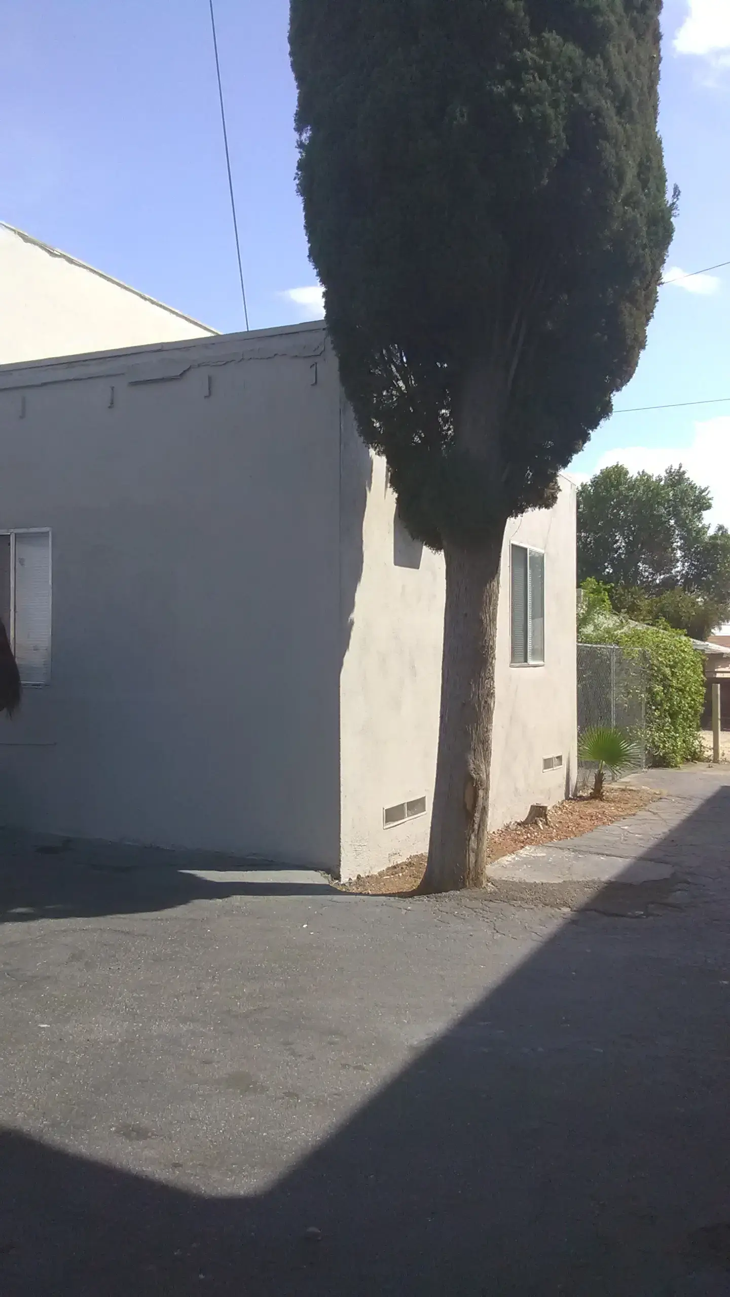 Sparklean Laundry: Wash & Fold Service - Image 19