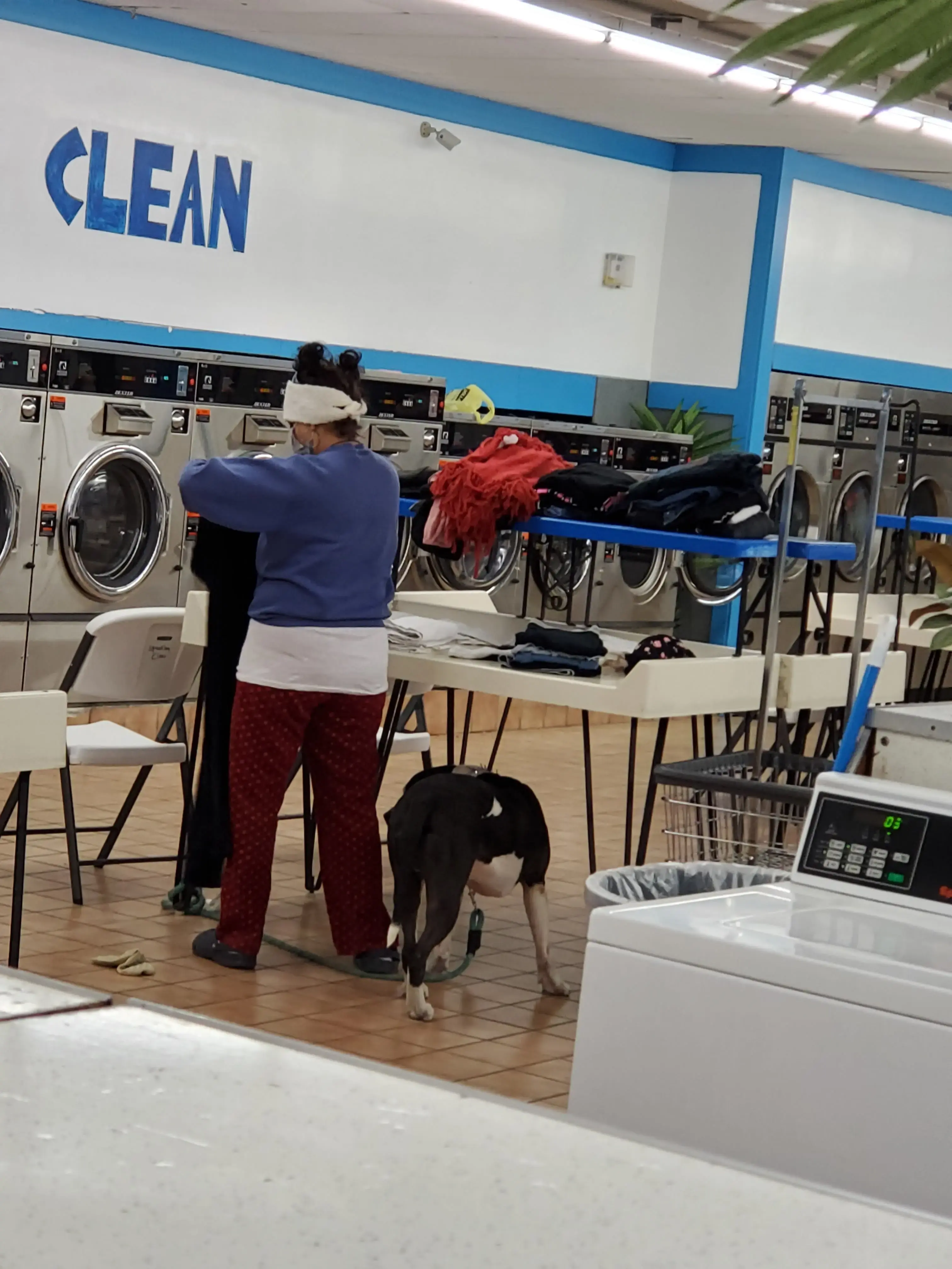 Sparkling Clean Coin Laundry thumbnail 11